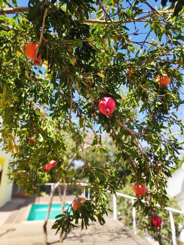 היחידה - Hayehida, photo 12