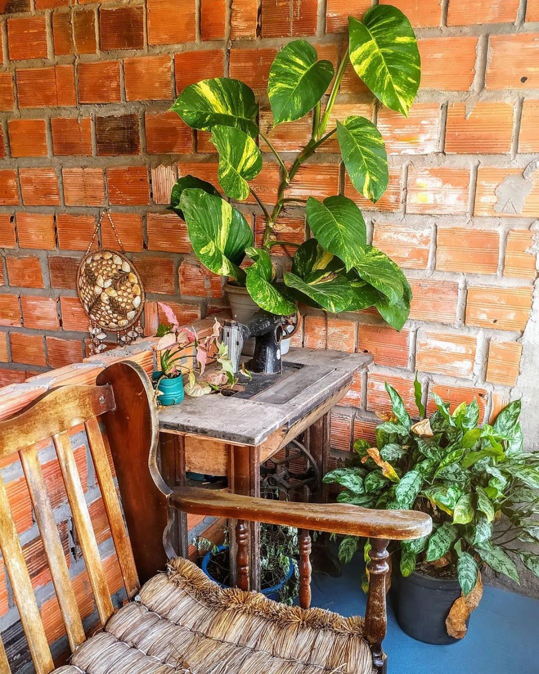 Hostel Em Boas Mãos
