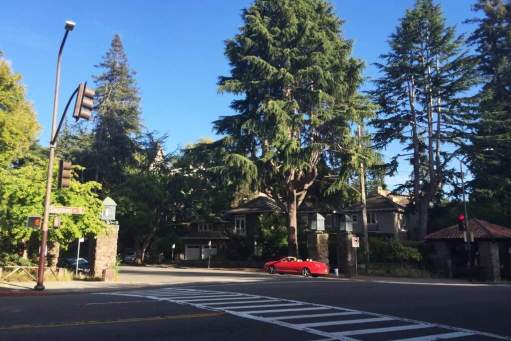 Elegant Spacious Private Studio ~ Upscale Berkeley, photo 22