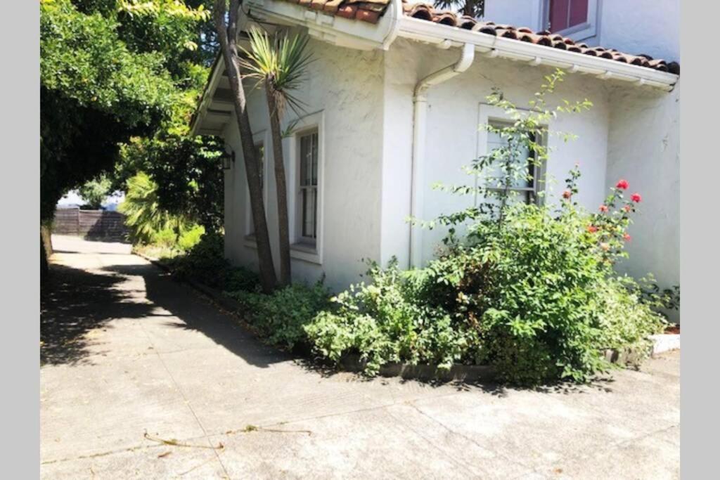 Elegant Spacious Private Studio ~ Upscale Berkeley
