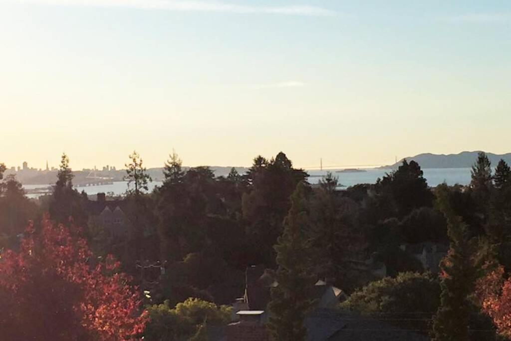 Elegant Spacious Private Studio ~ Upscale Berkeley