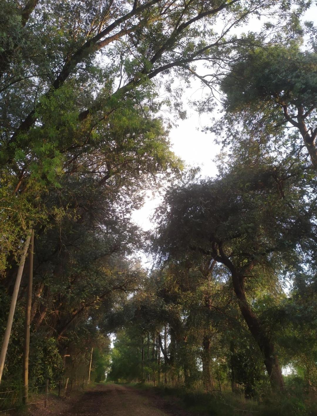 La Carmencita casa de campo, Manzanares, Pilar