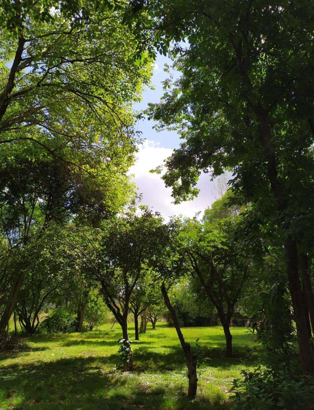 La Carmencita casa de campo, Manzanares, Pilar