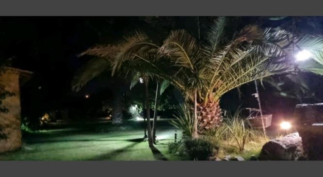 Finca Mula