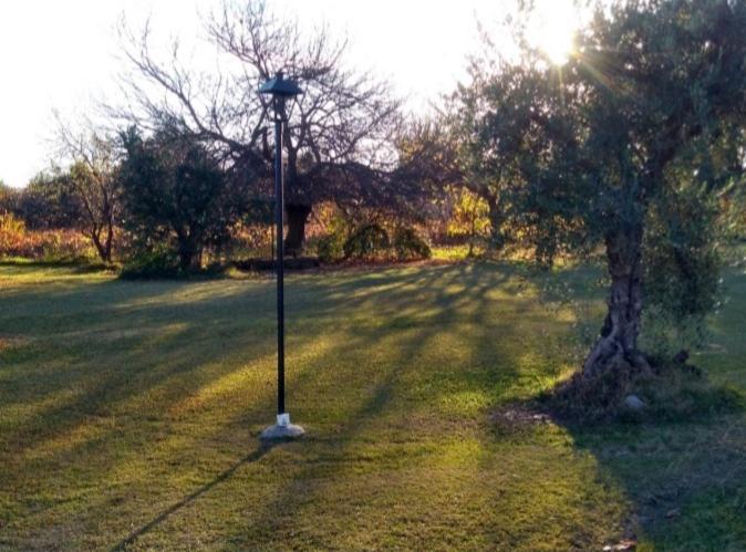 Finca Mula