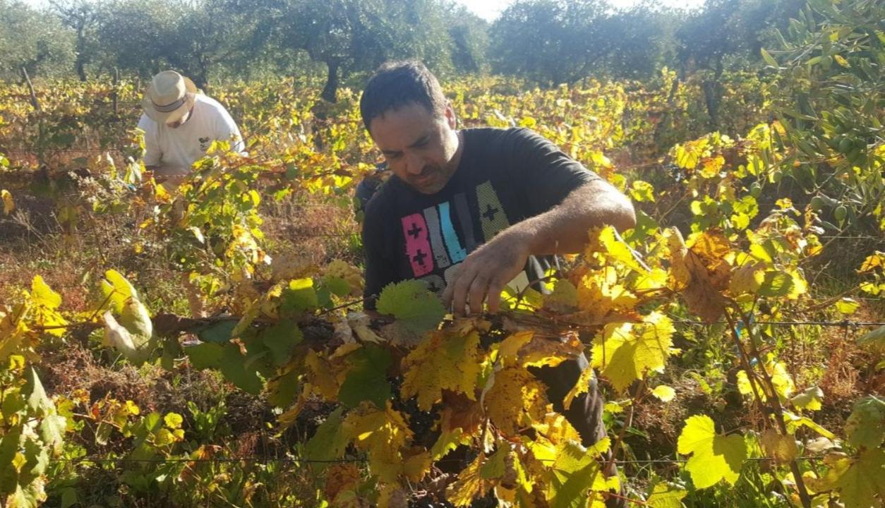 Finca Mula