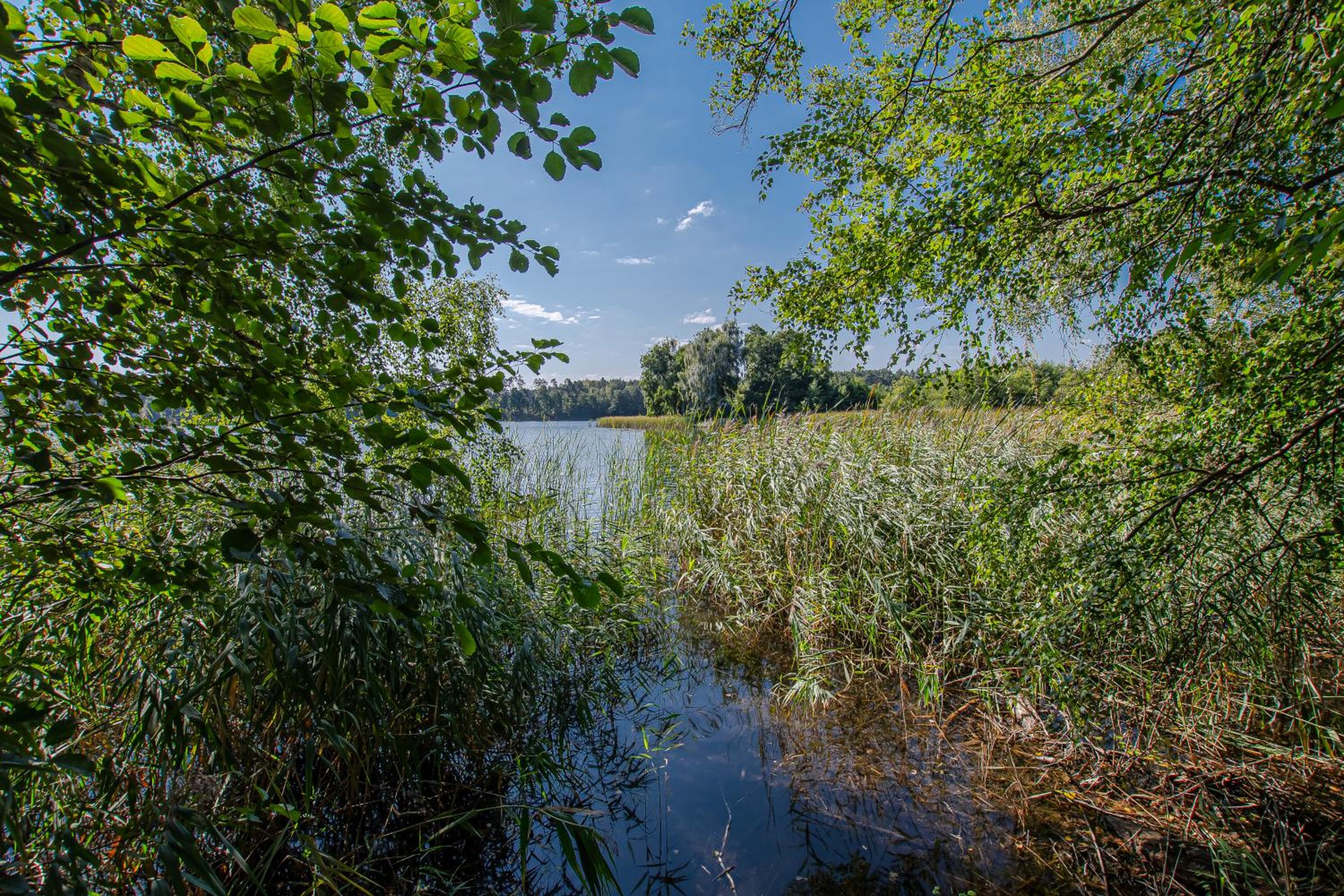 Całoroczny dom wakacyjny view 5