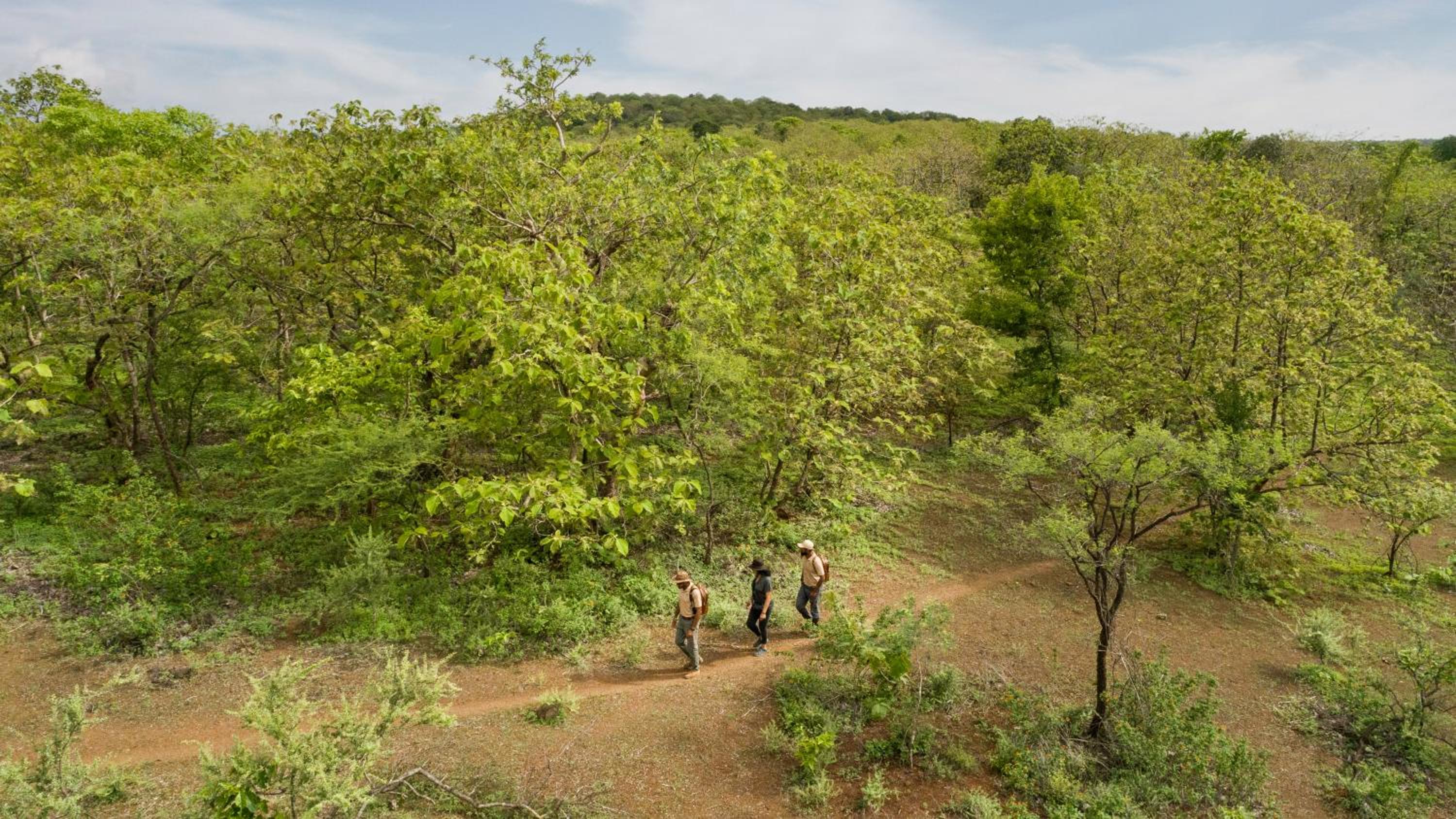 Aramness Gir National Park view 3