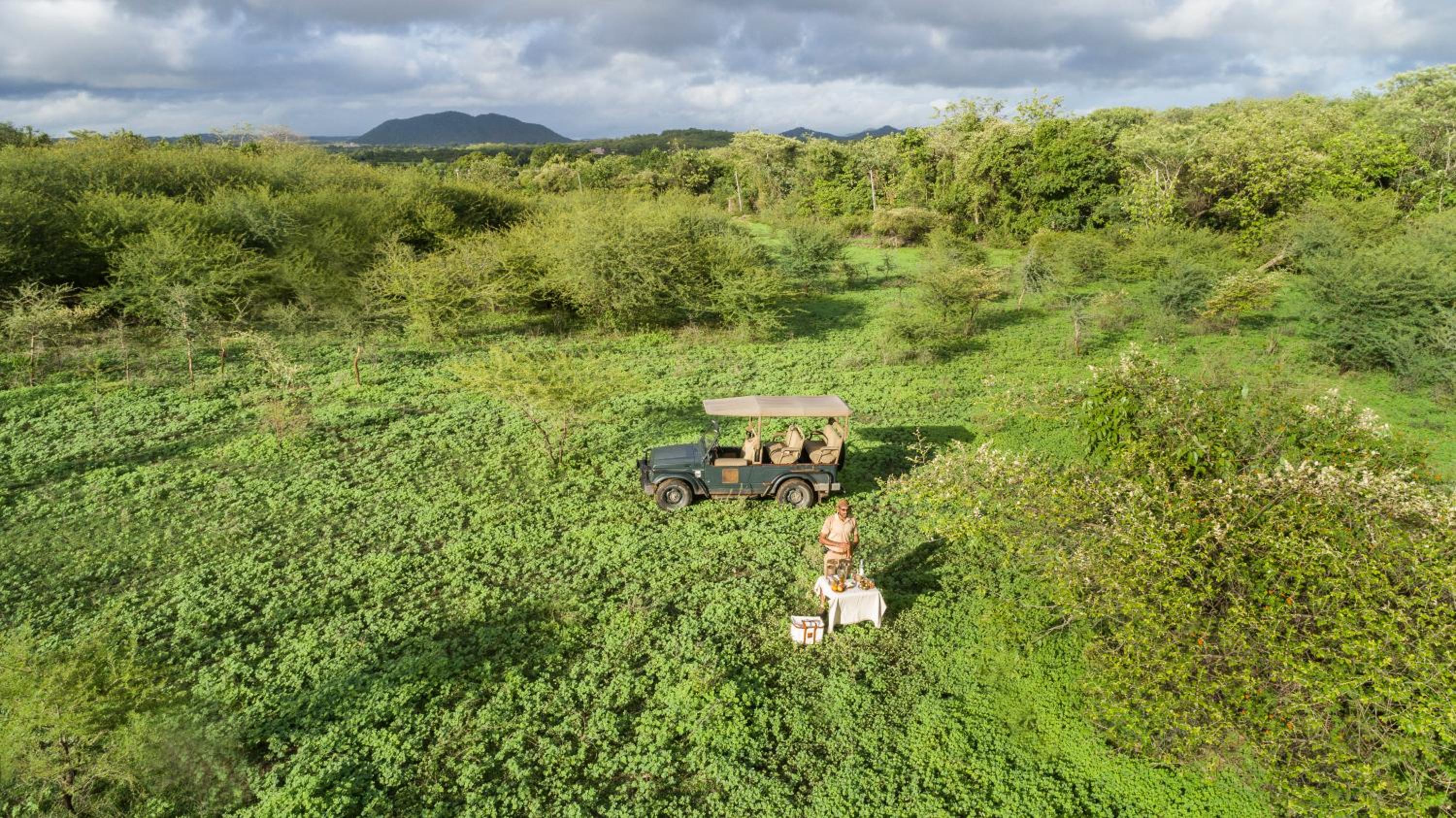 Aramness Gir National Park view 5