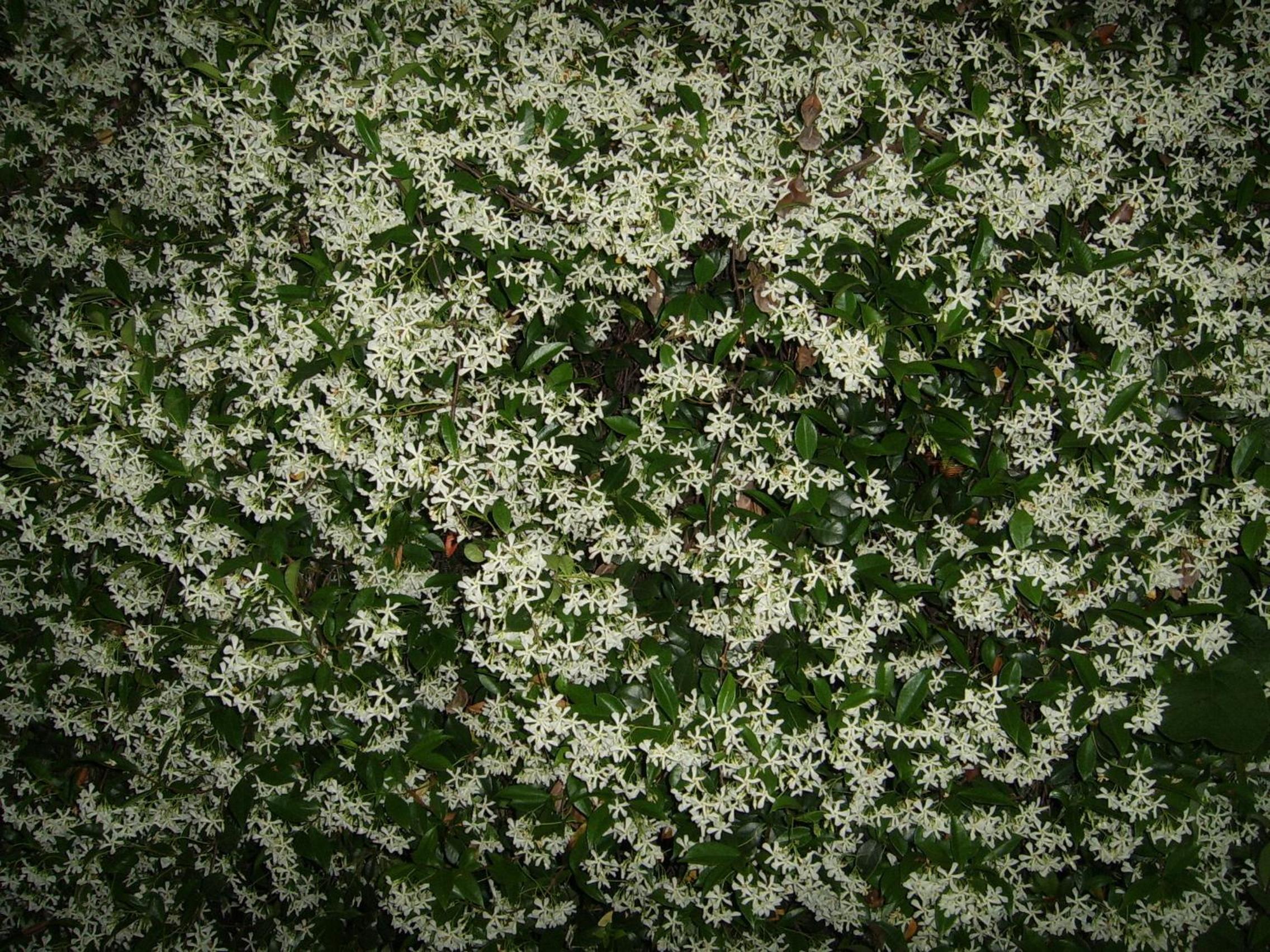 Photo 102