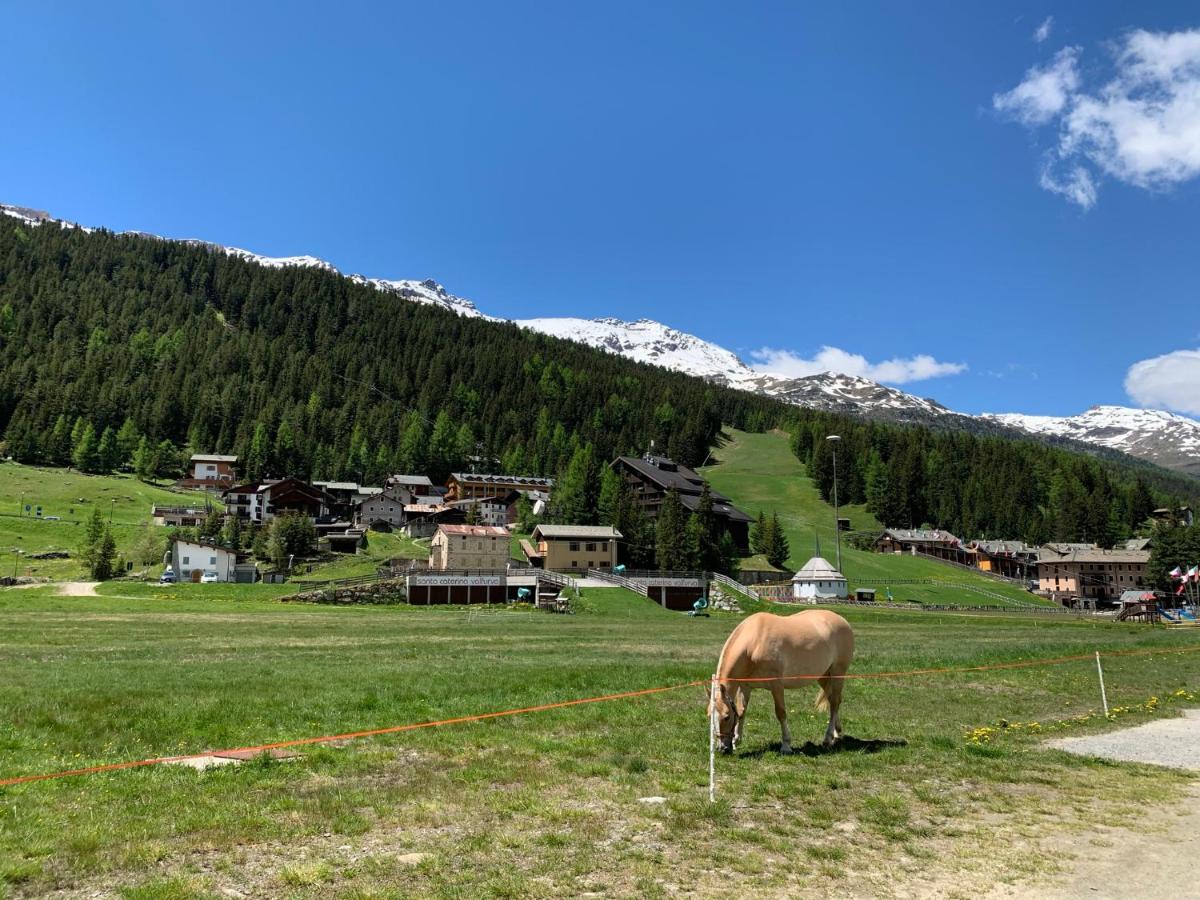 Alloggio Belvedere, con accesso diretto sulle piste da sci photo 5