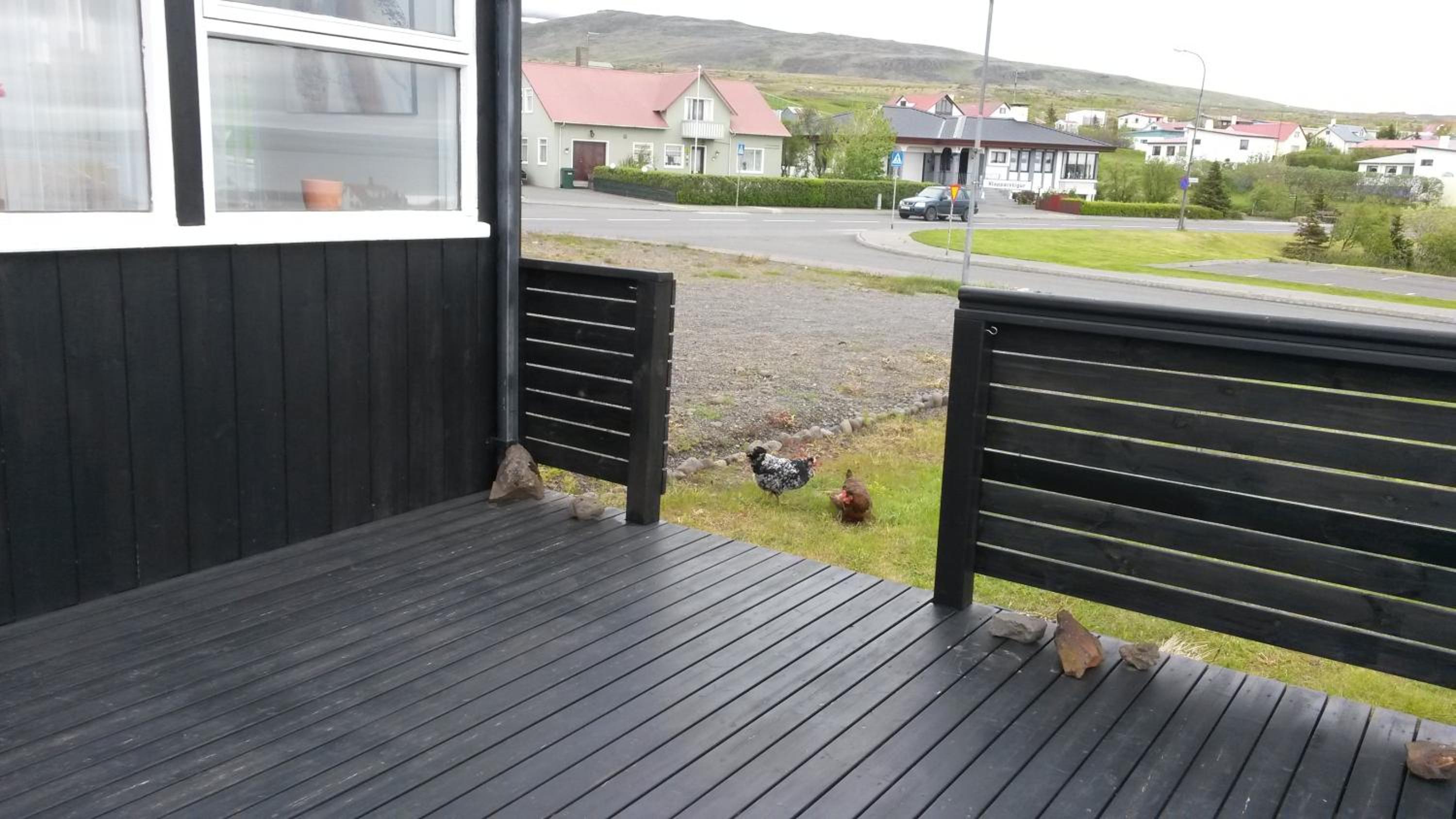 ALBERT Guesthouse