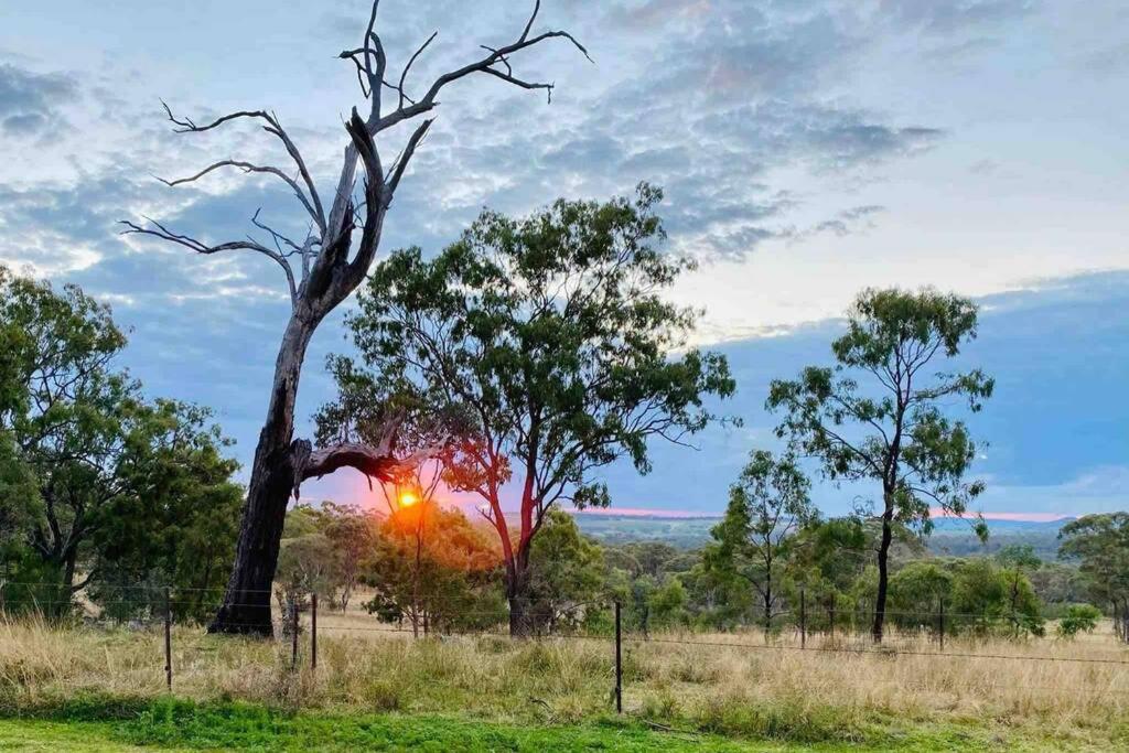 Montrose Farm Stay - Charming 2 bedroom cottage