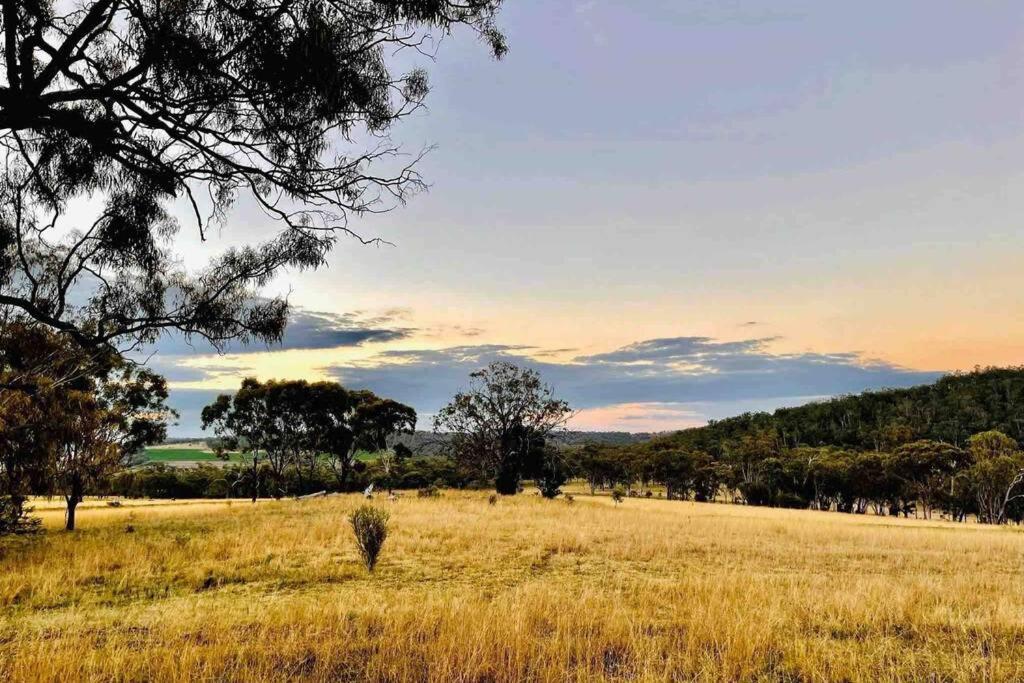 Montrose Farm Stay - Charming 2 bedroom cottage