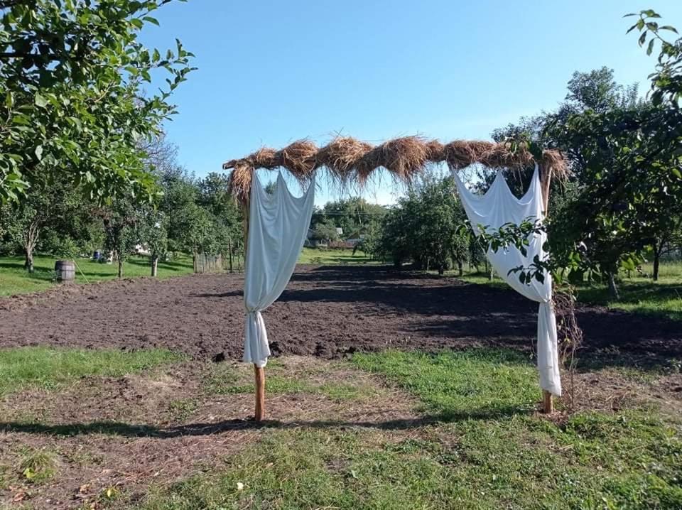 Casa rurală cu livadă LavAndra