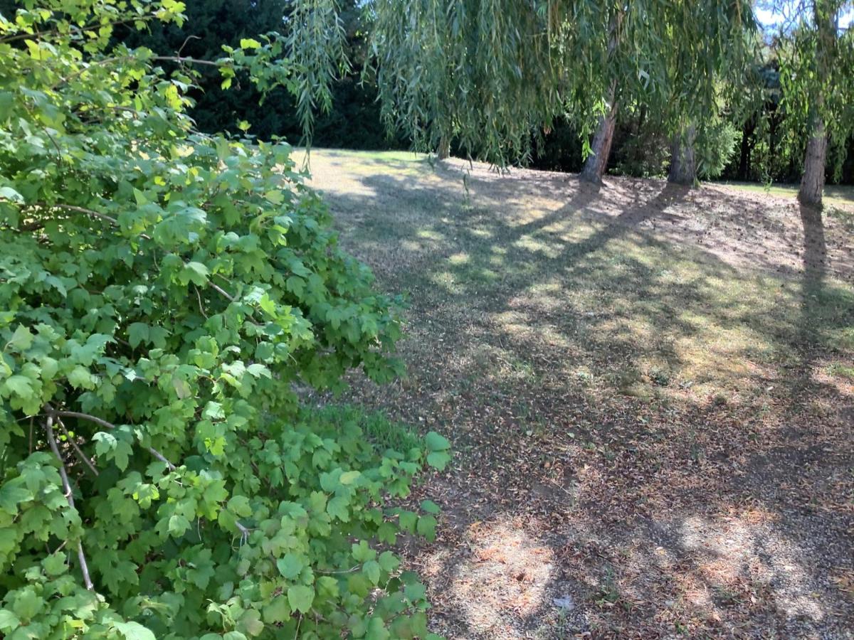 children's play area