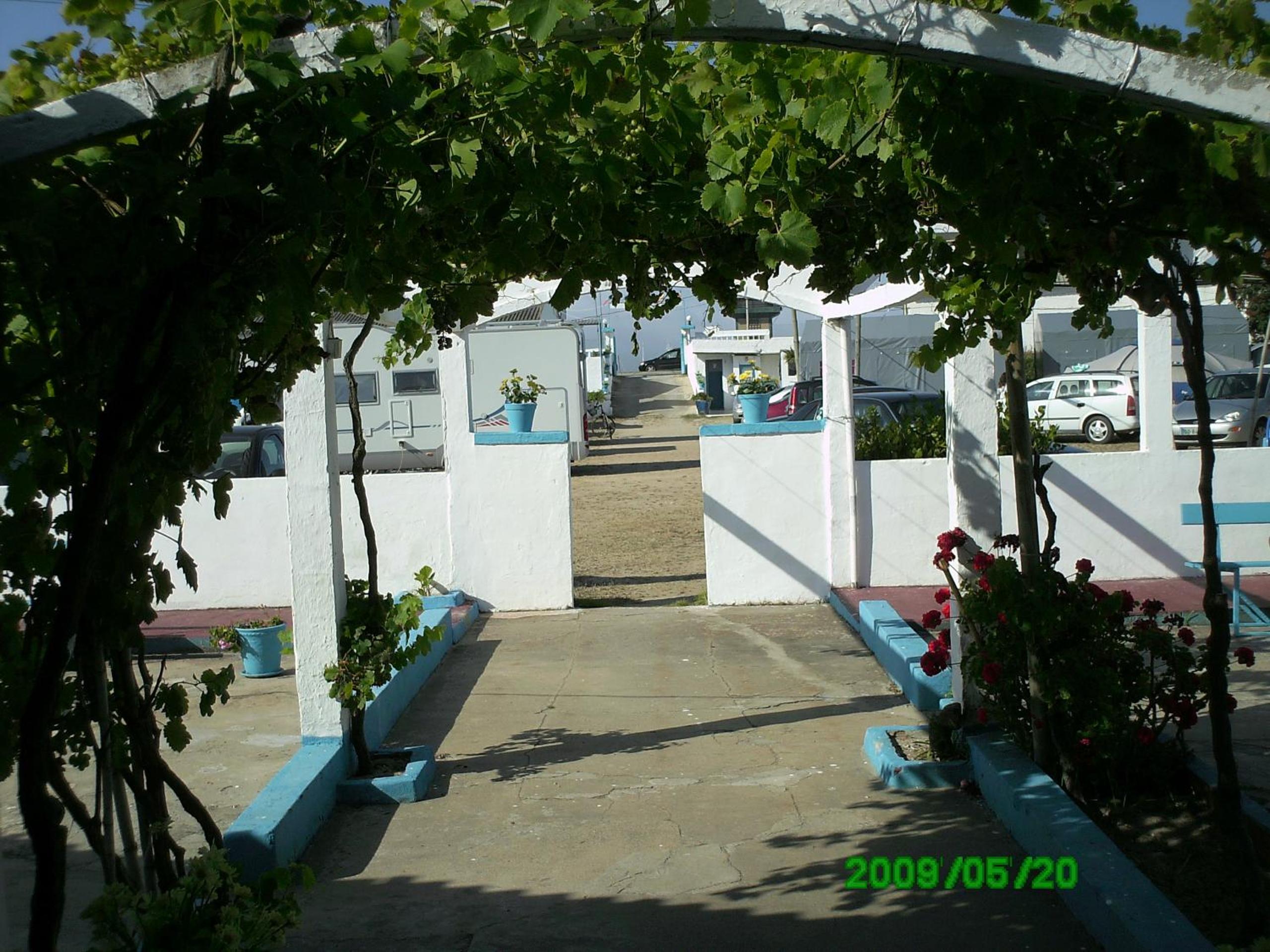Photo 45