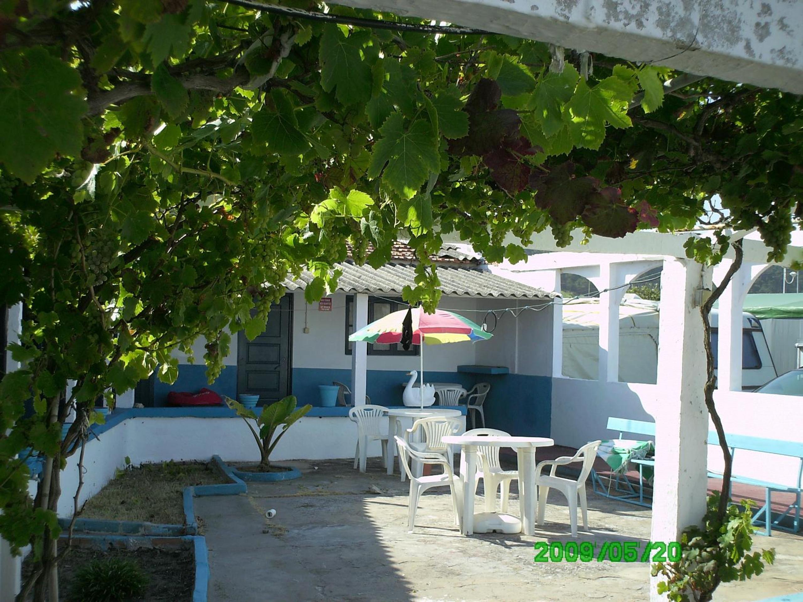 Photo 44