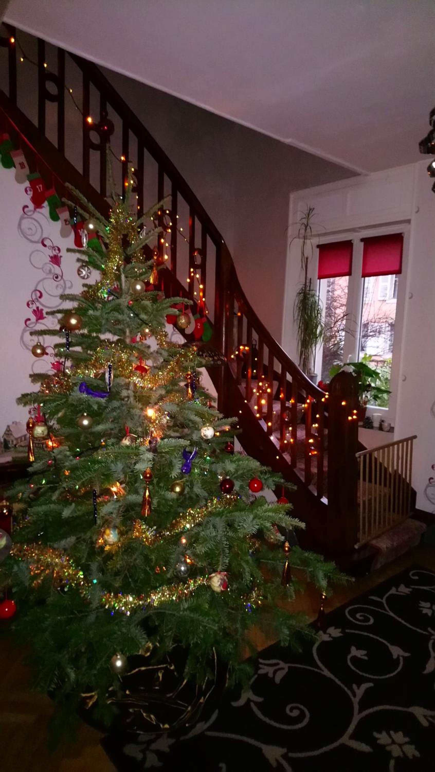 la romantique, photo 11