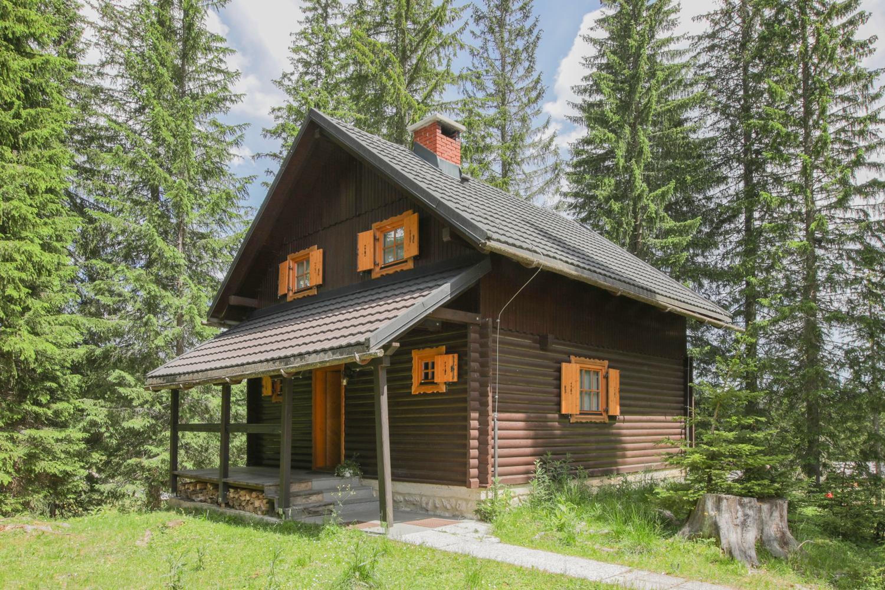 Villa Pokljuka view 2