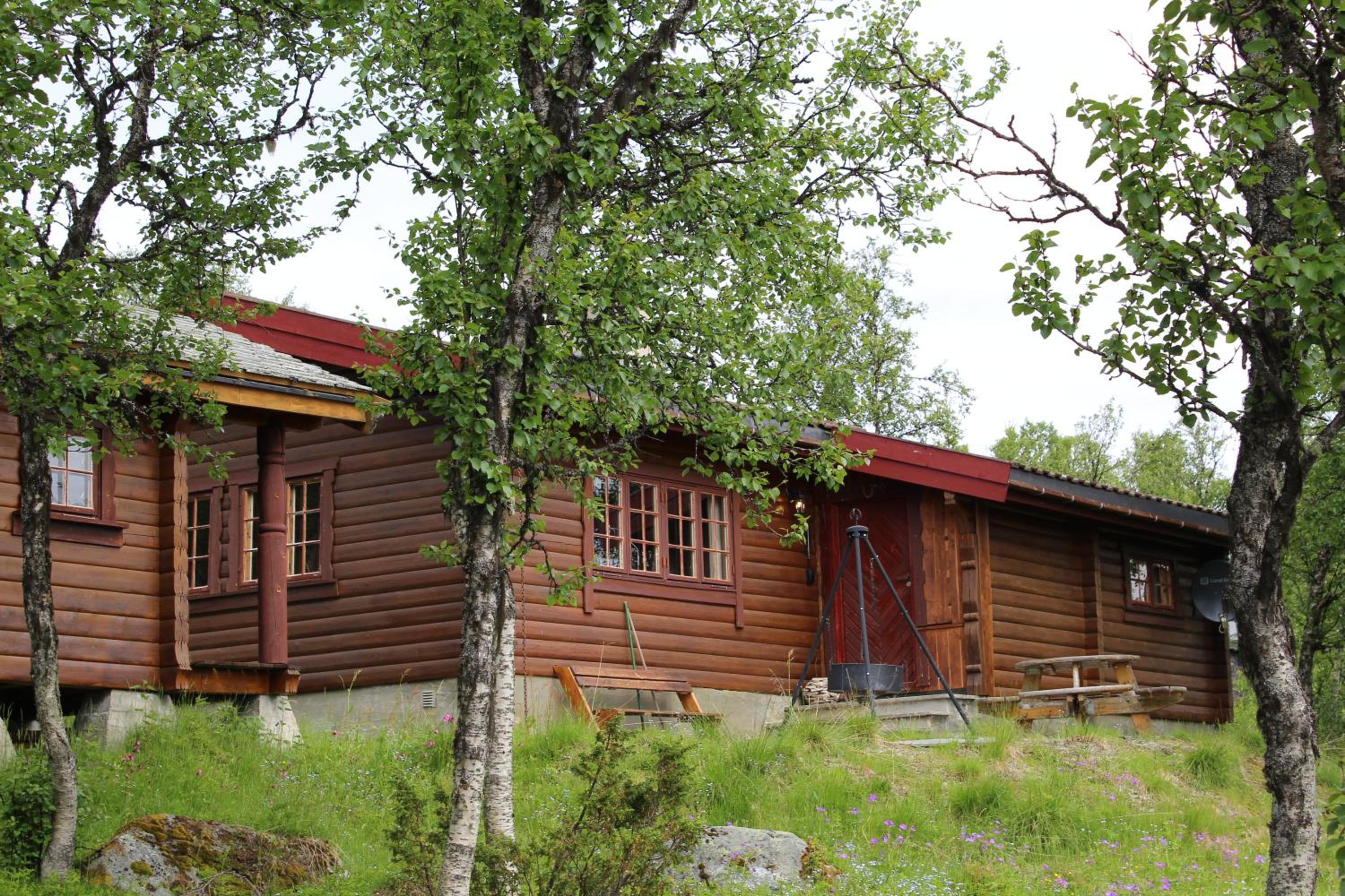 Photo 15