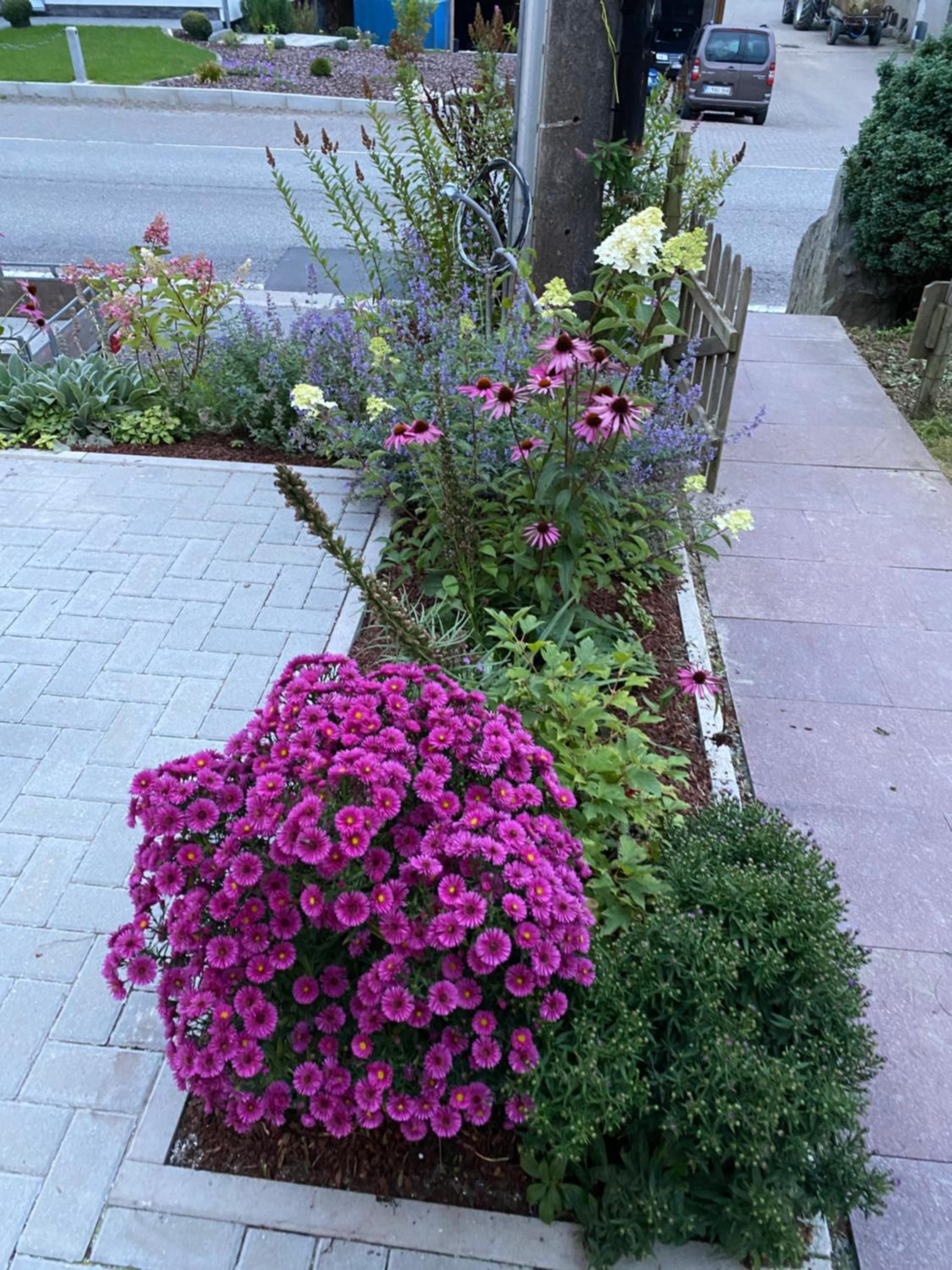 Photo 32