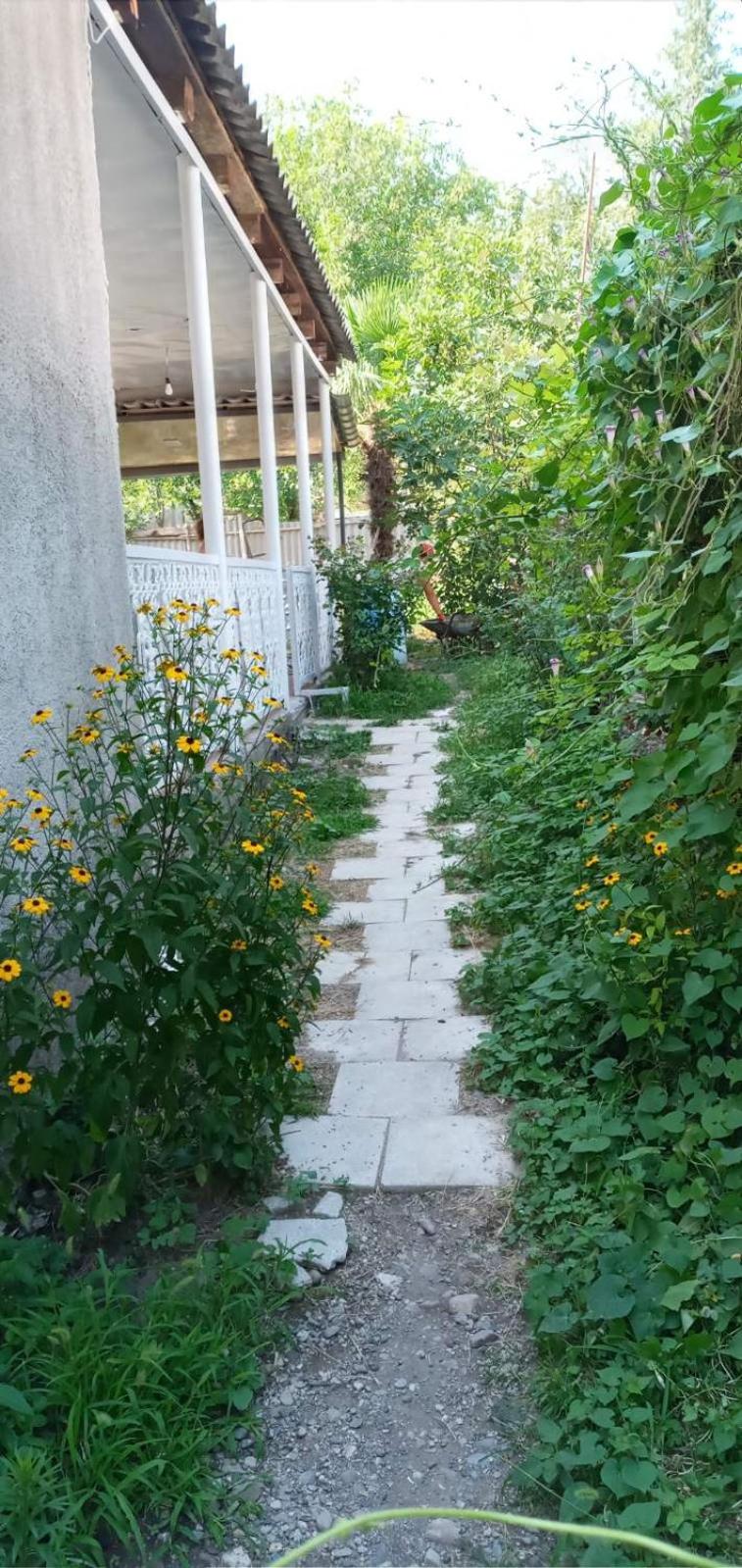 Green House view 3