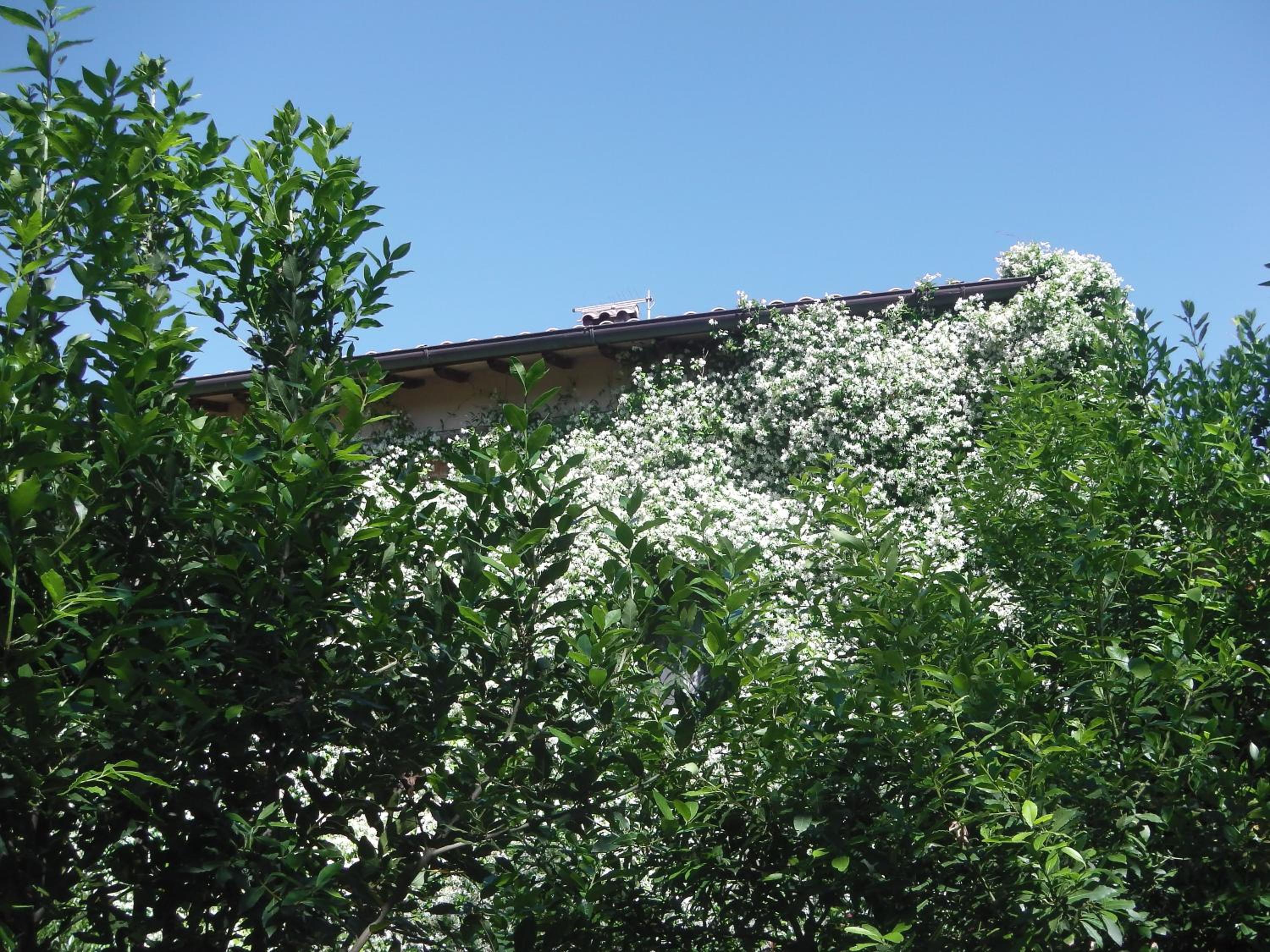 La Fratta Art - House, photo 42
