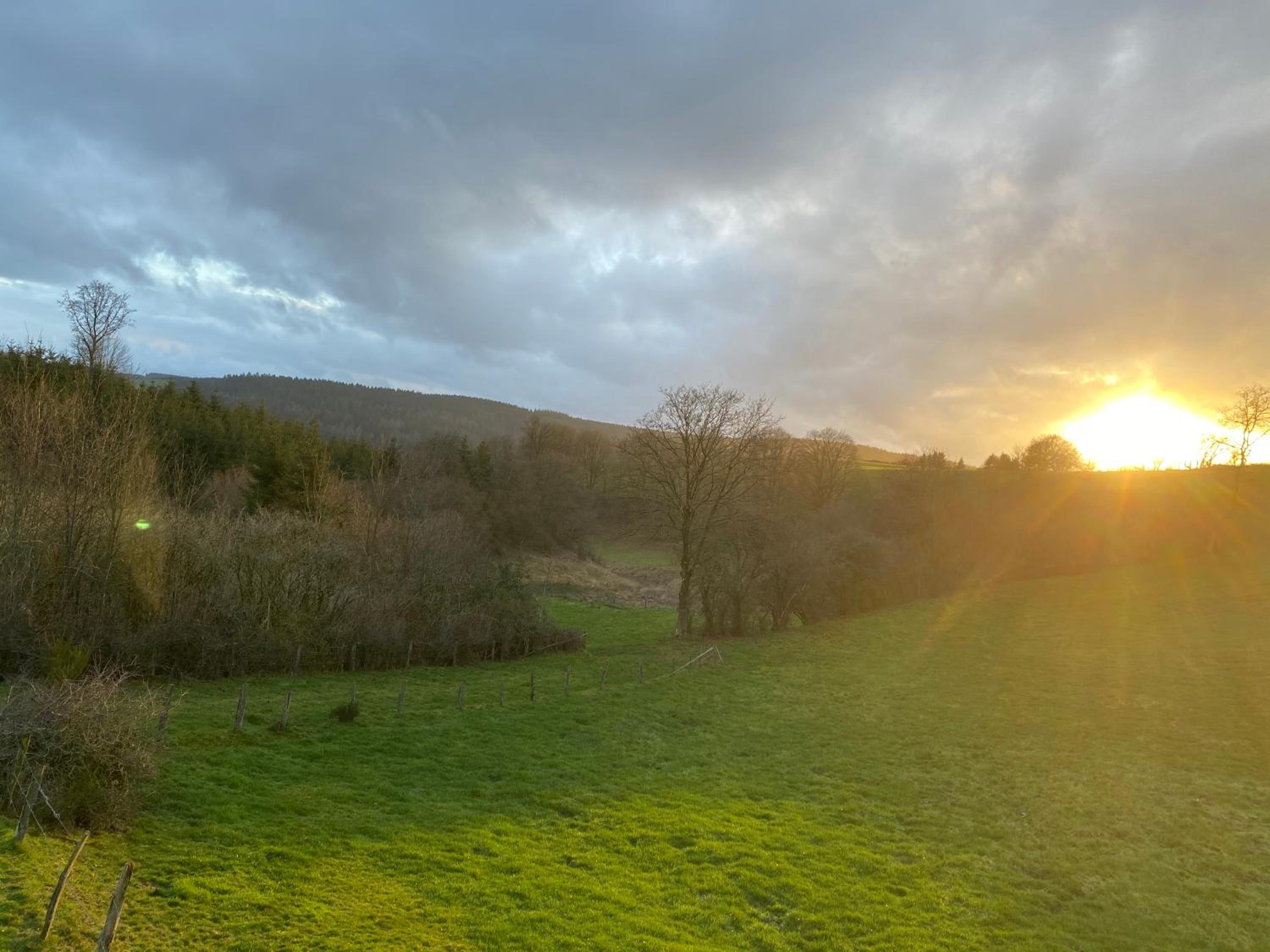 Photo 33