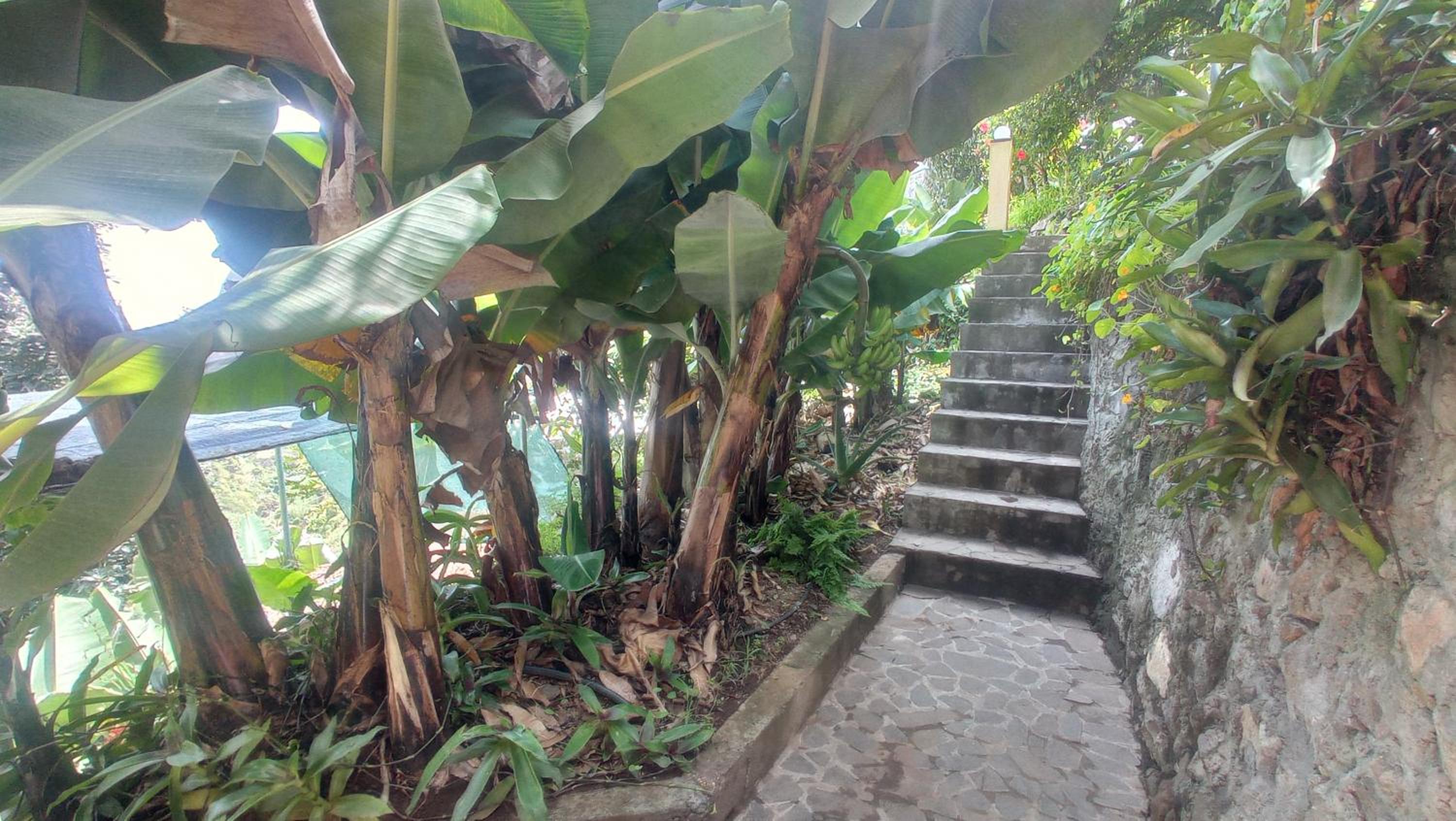 Casa Cavoquinho
