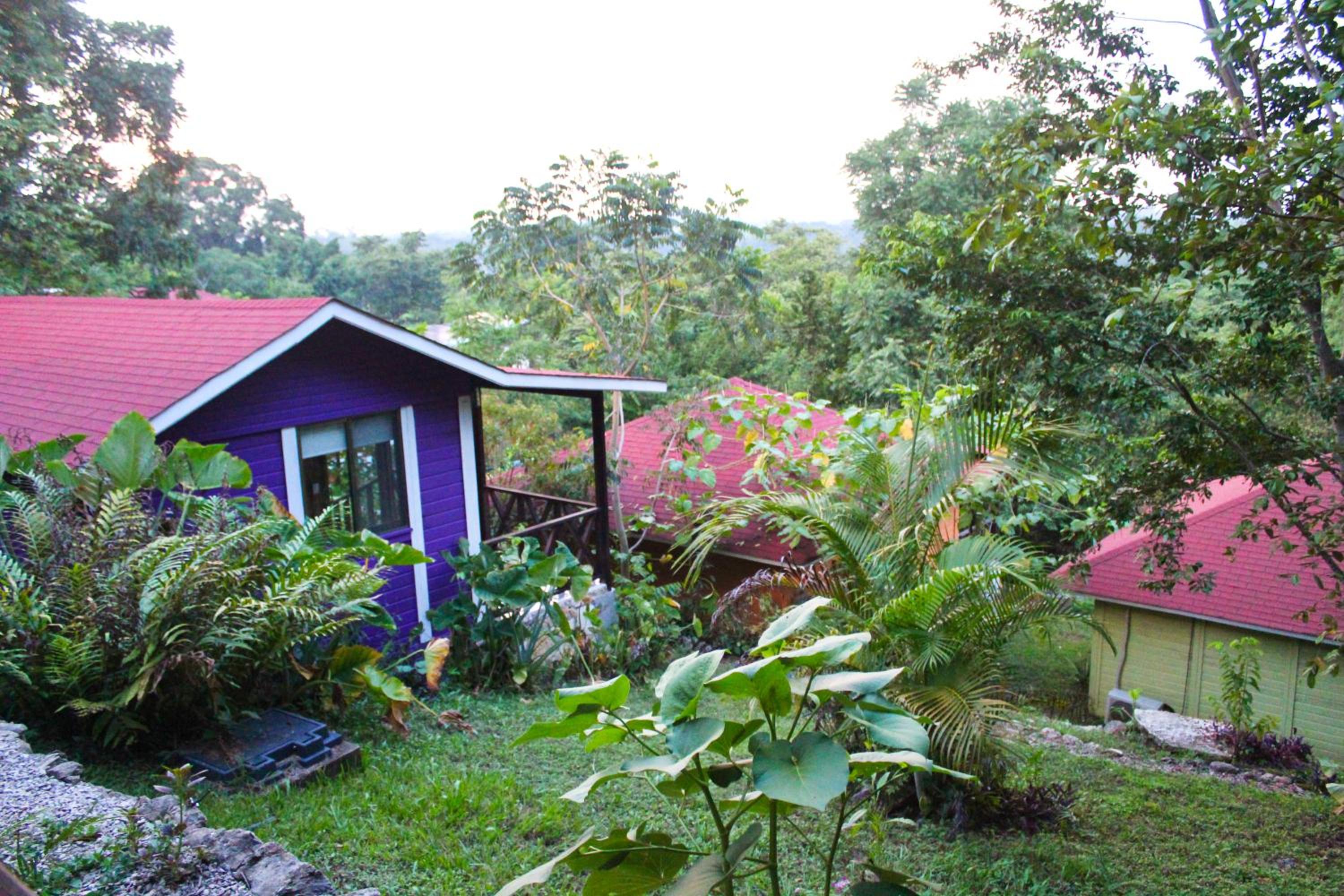 Palenque Vacations - Winika Alterra - Property Image 1