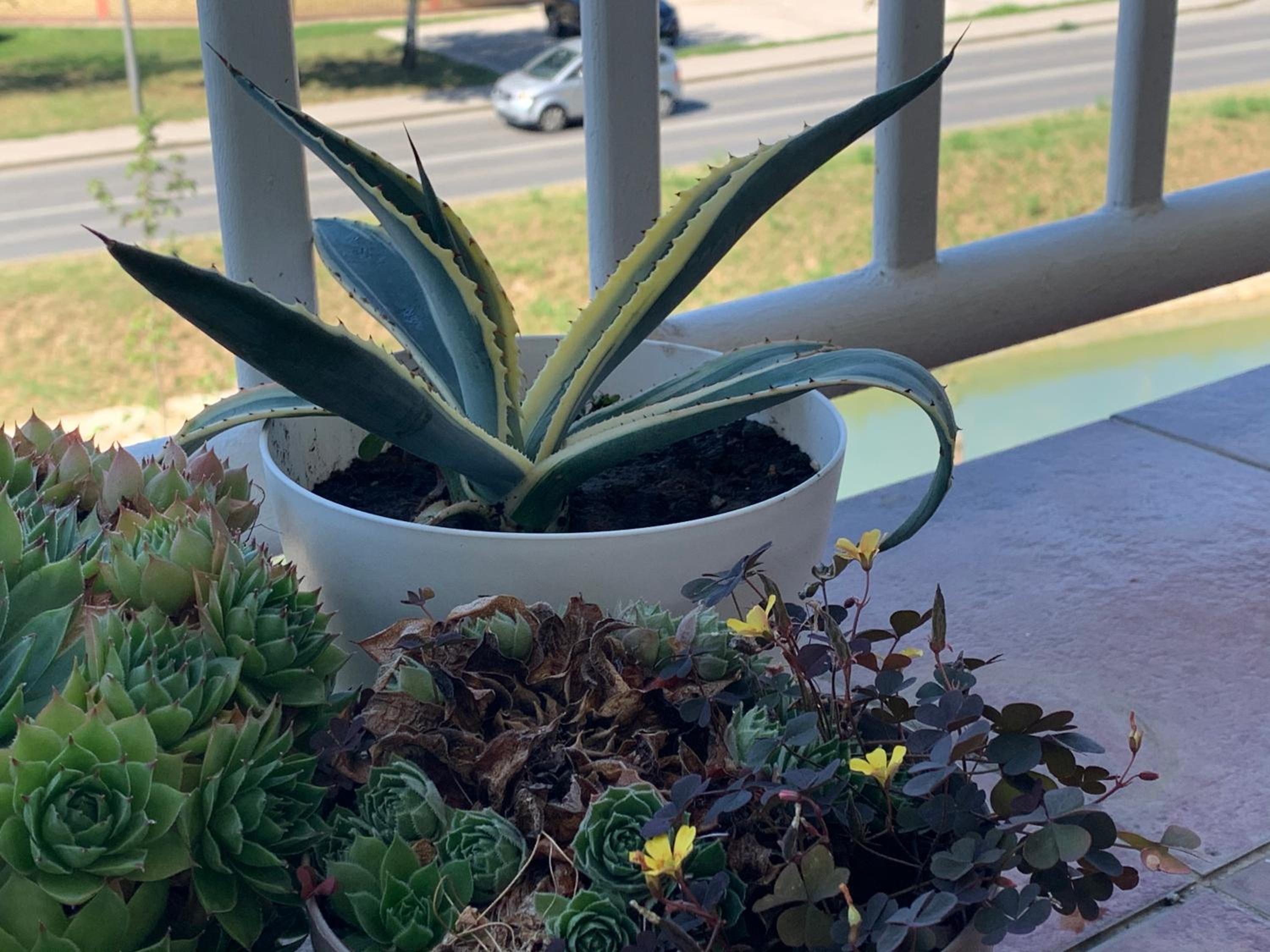 Photo 19