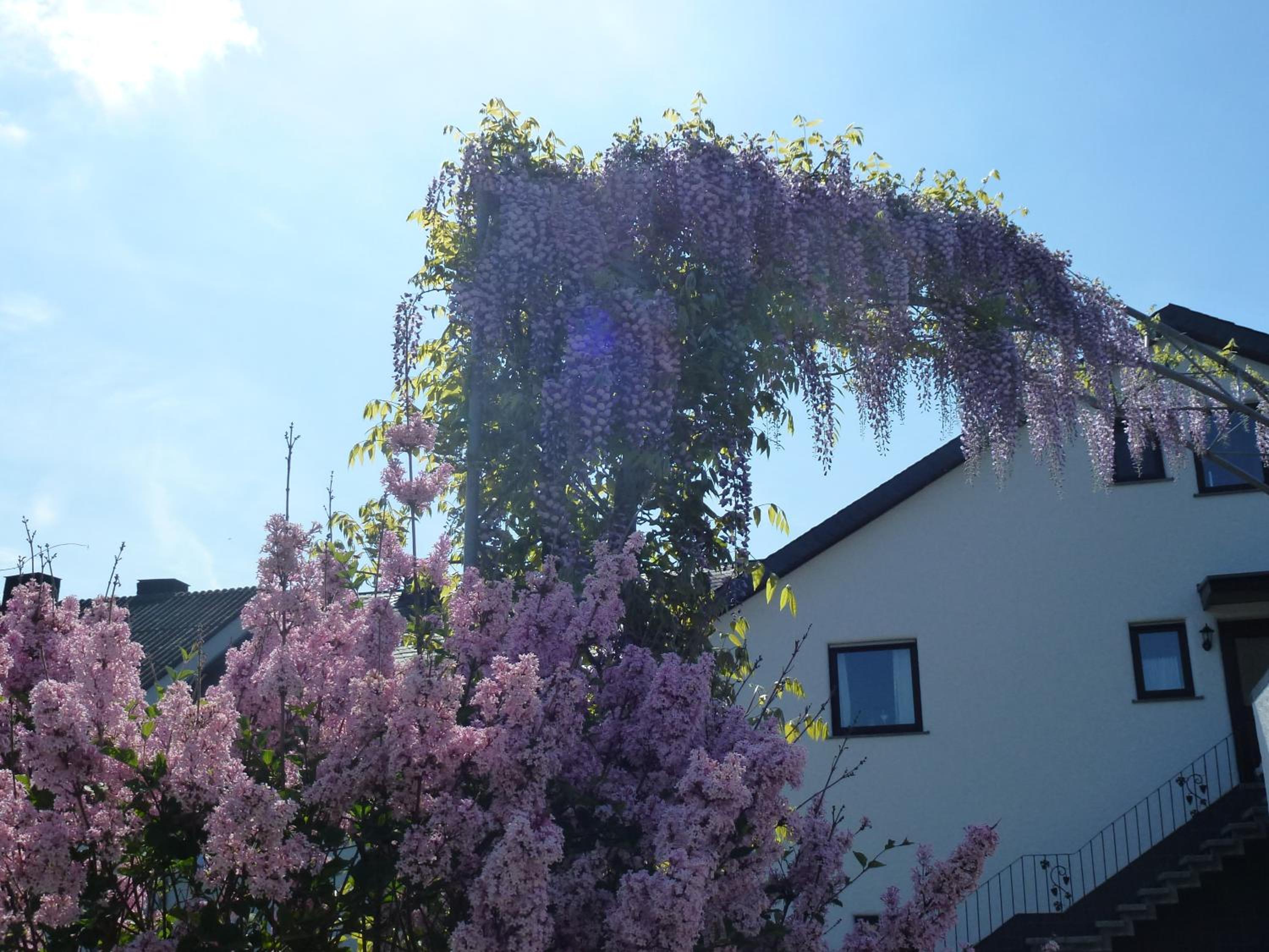 Photo 35