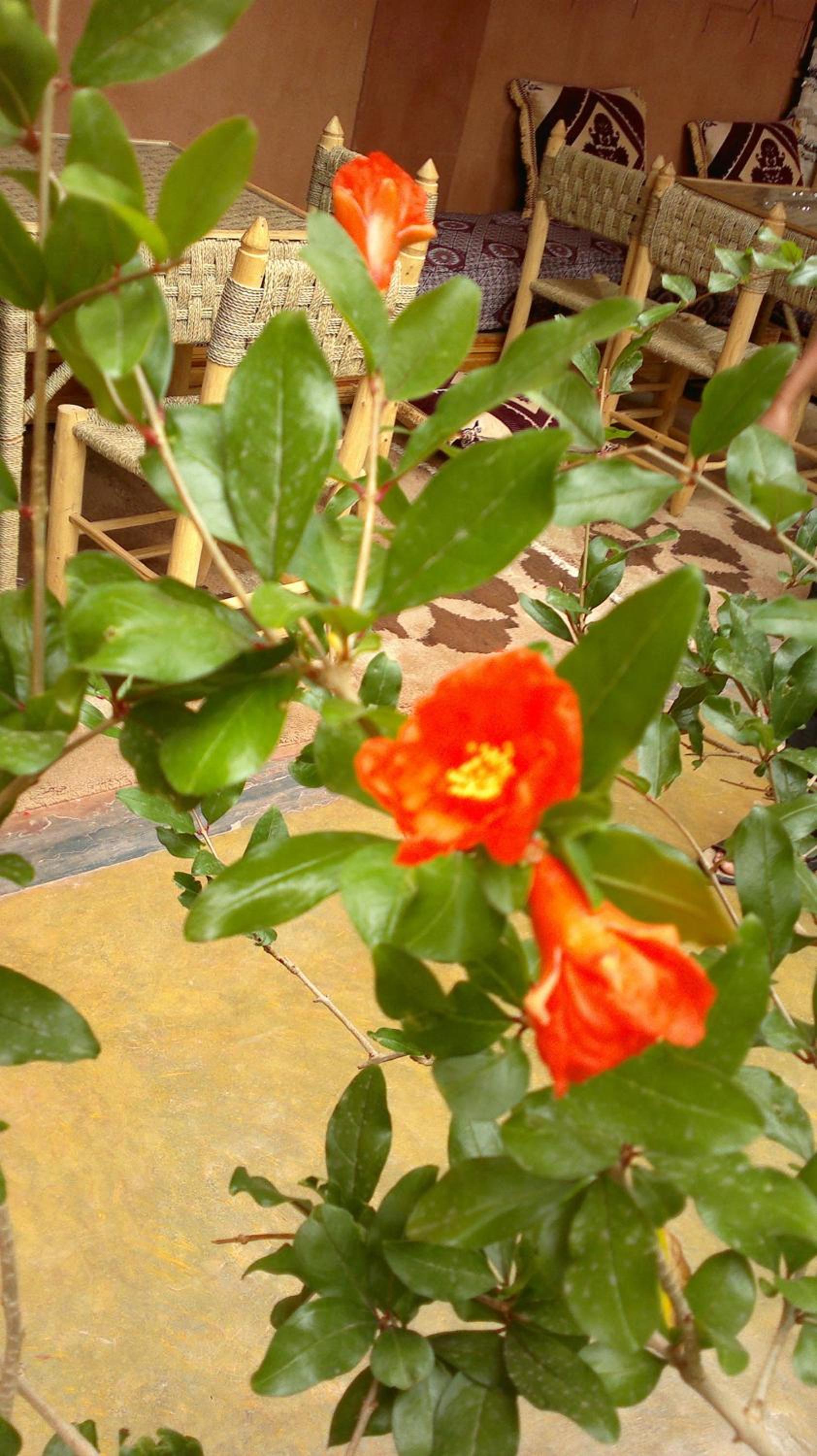 Photo 47