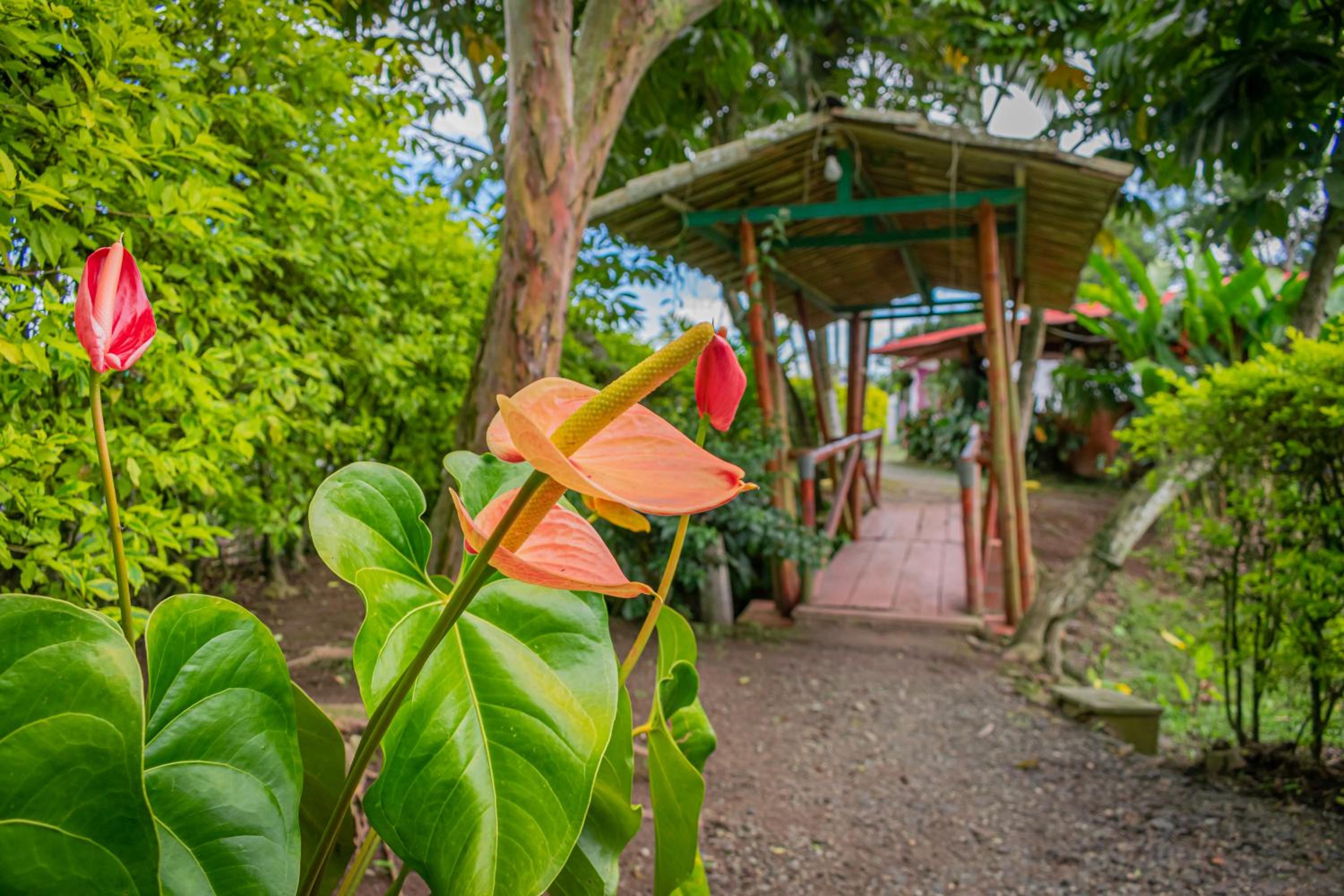 Finca Hotel El Tizon