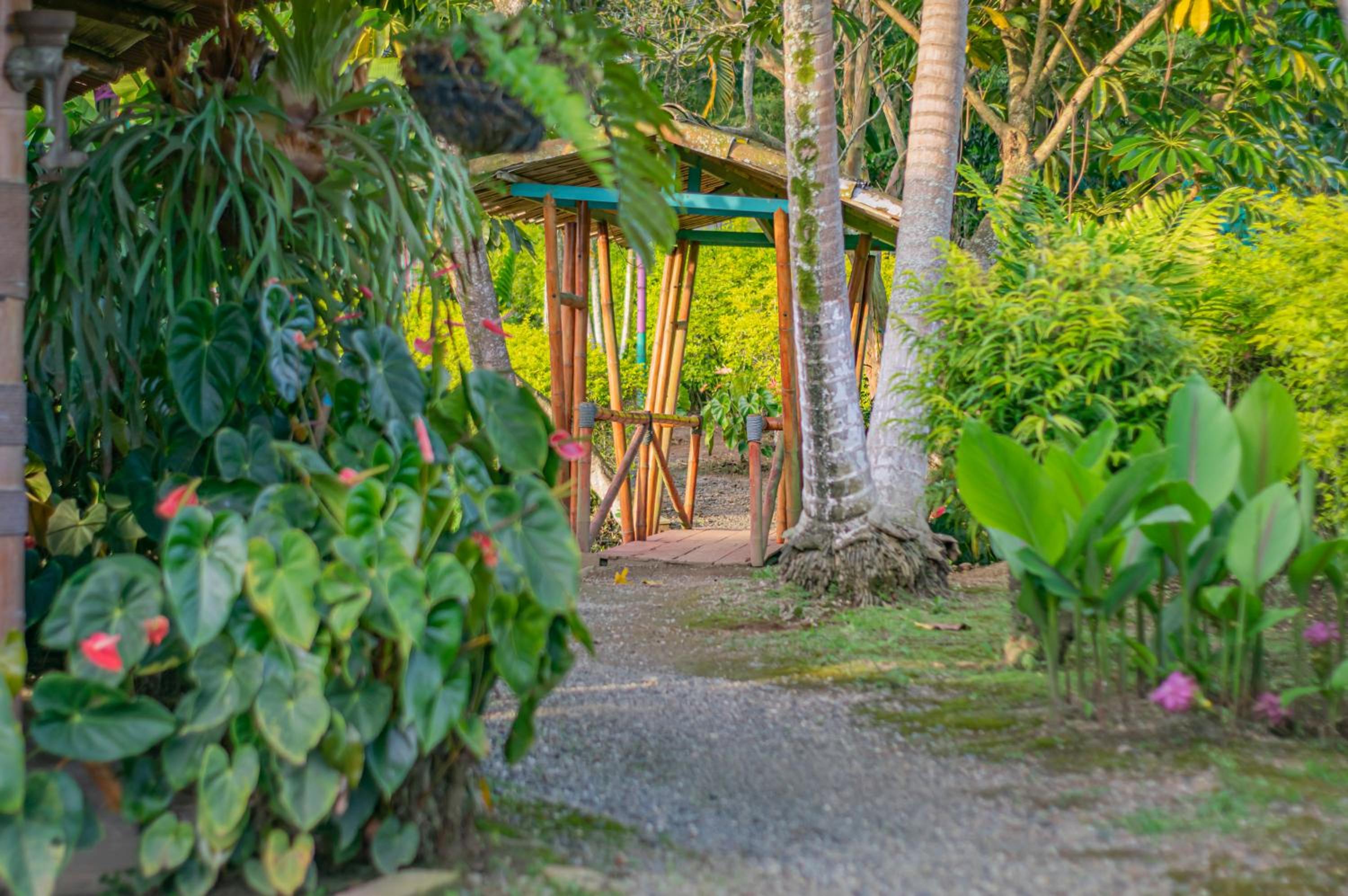 Finca Hotel El Tizon