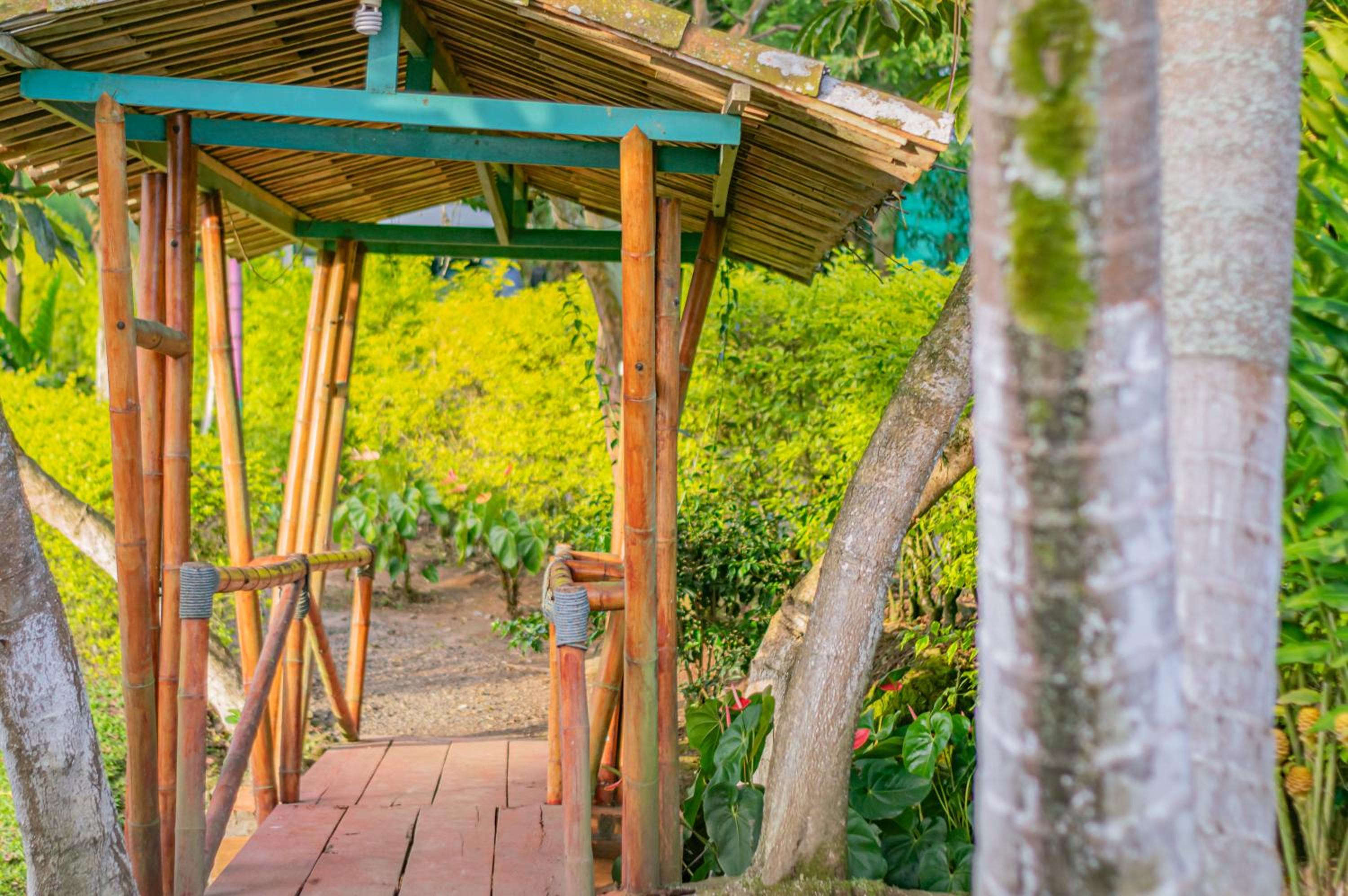 Finca Hotel El Tizon