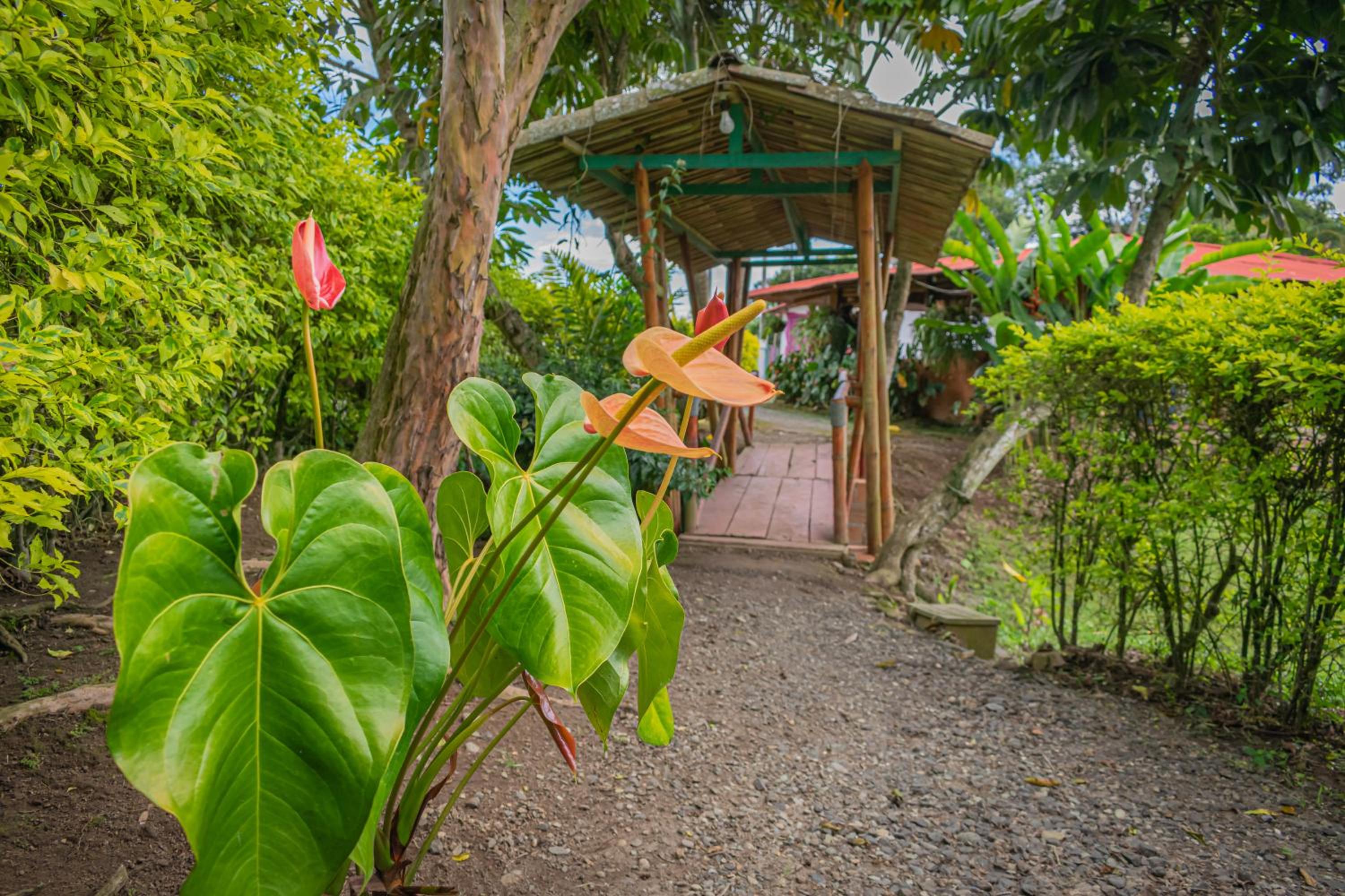 Finca Hotel El Tizon