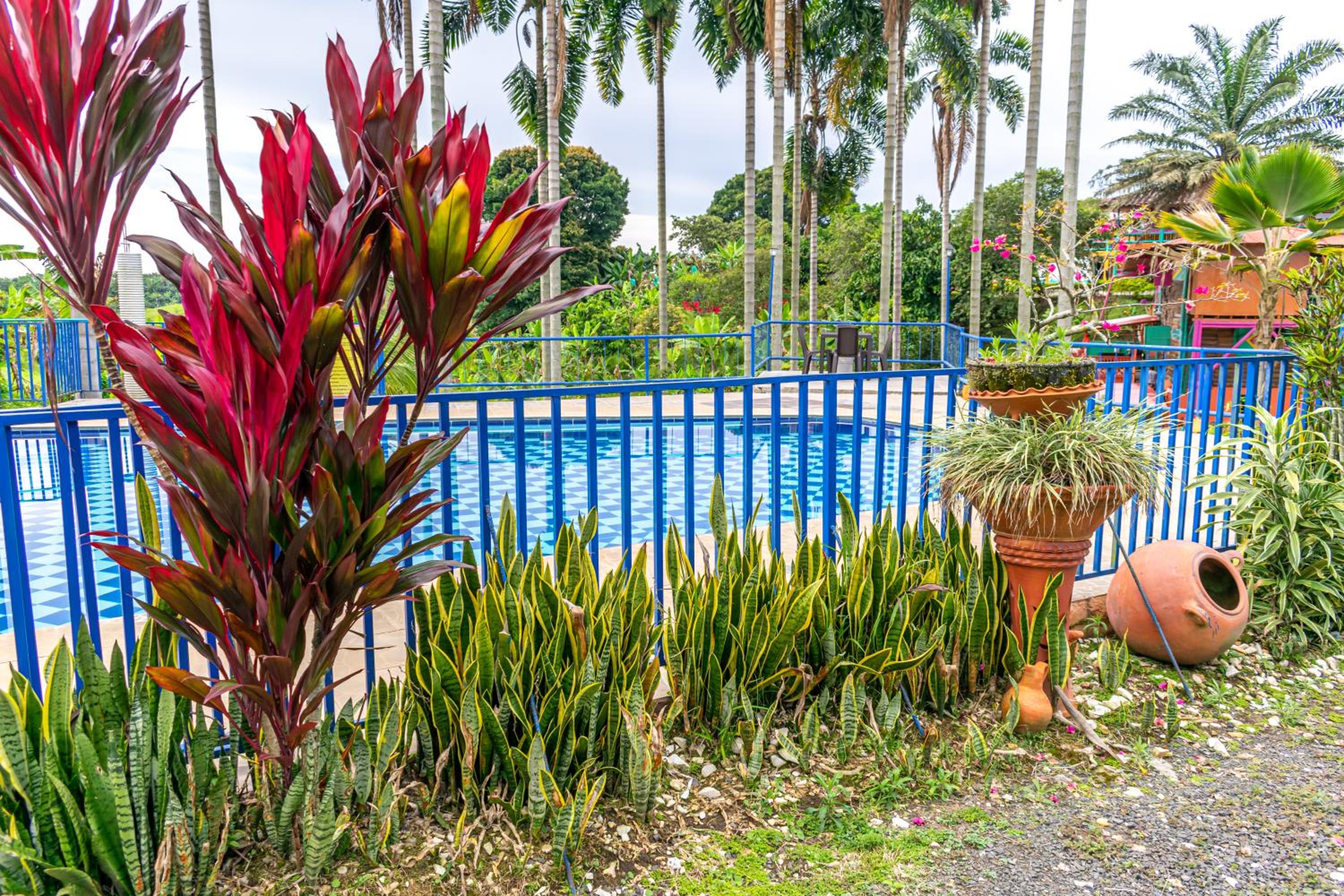 Finca Hotel El Tizon