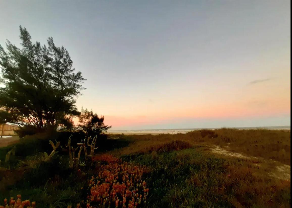 Casa beiramar, vista mar e pinheiros, pé na areia