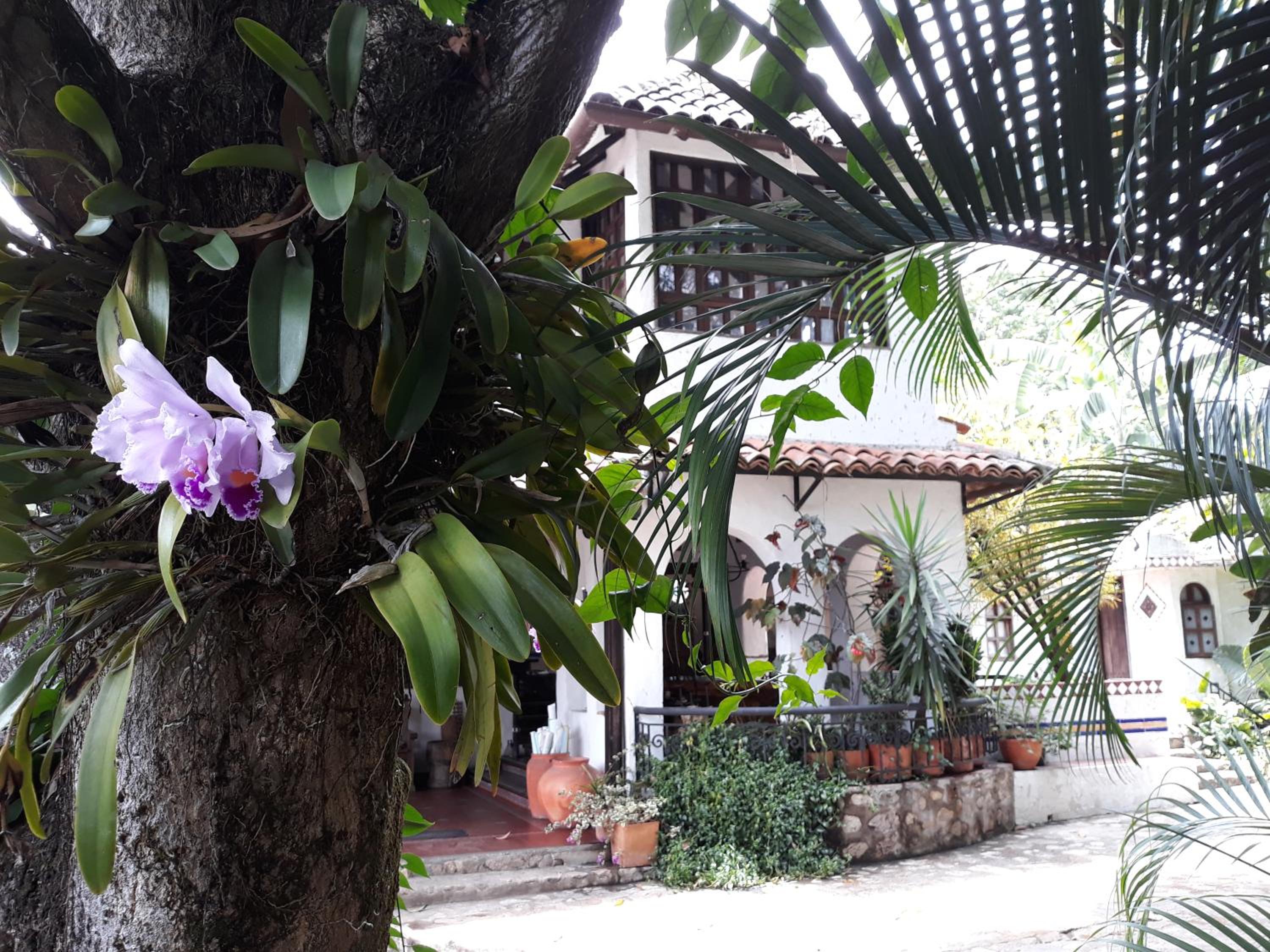 Casa Constantino
