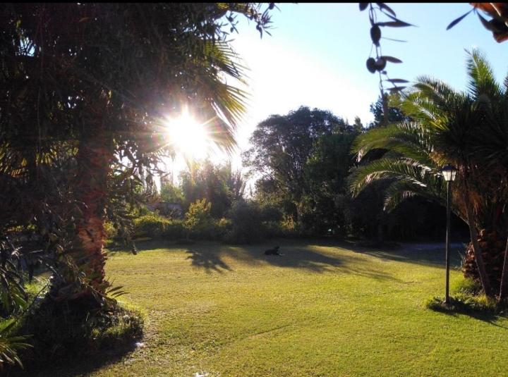 Finca Mula