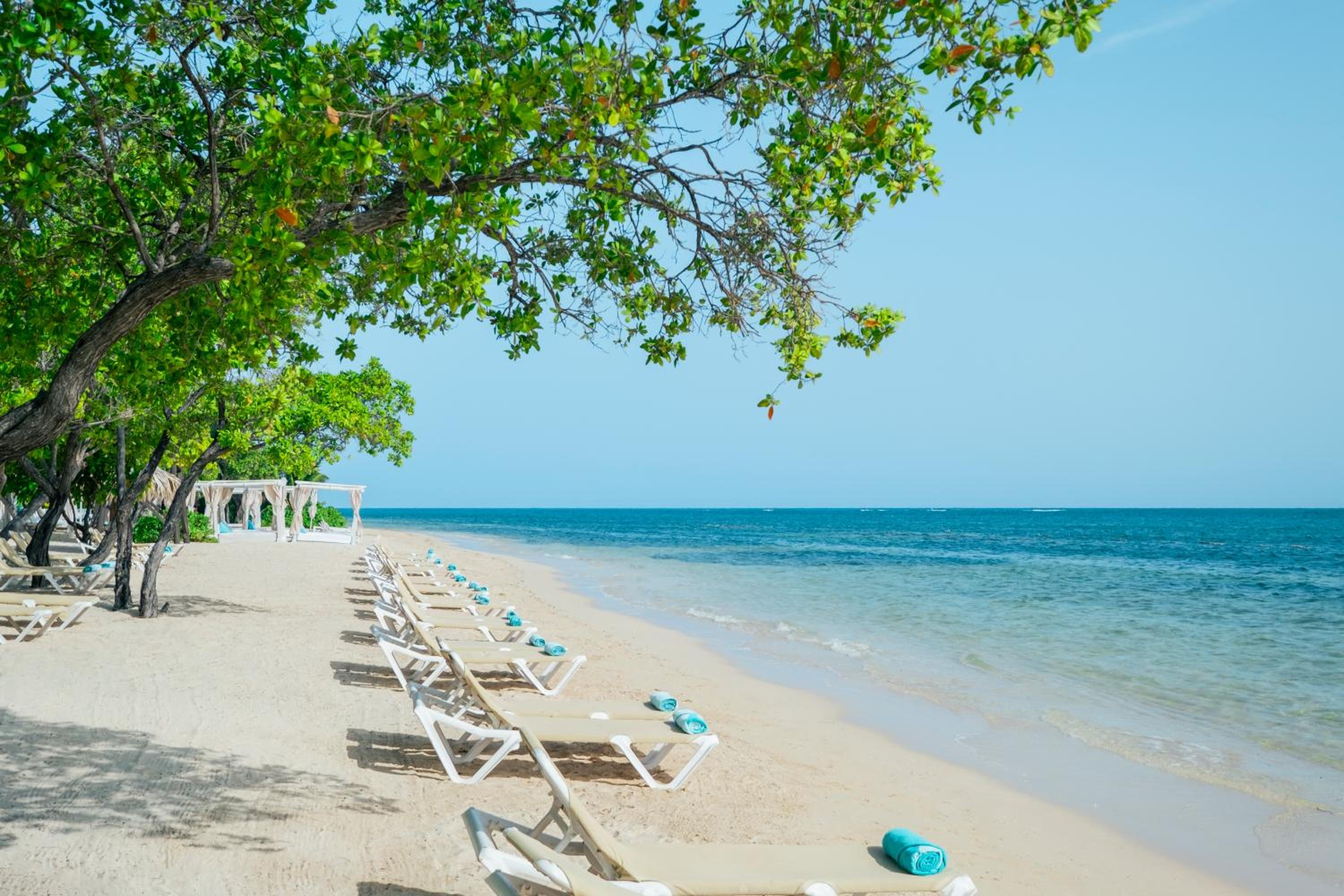 Photo 22 sur 111 de Iberostar Waves Rose Hall Beach - All Inclusive