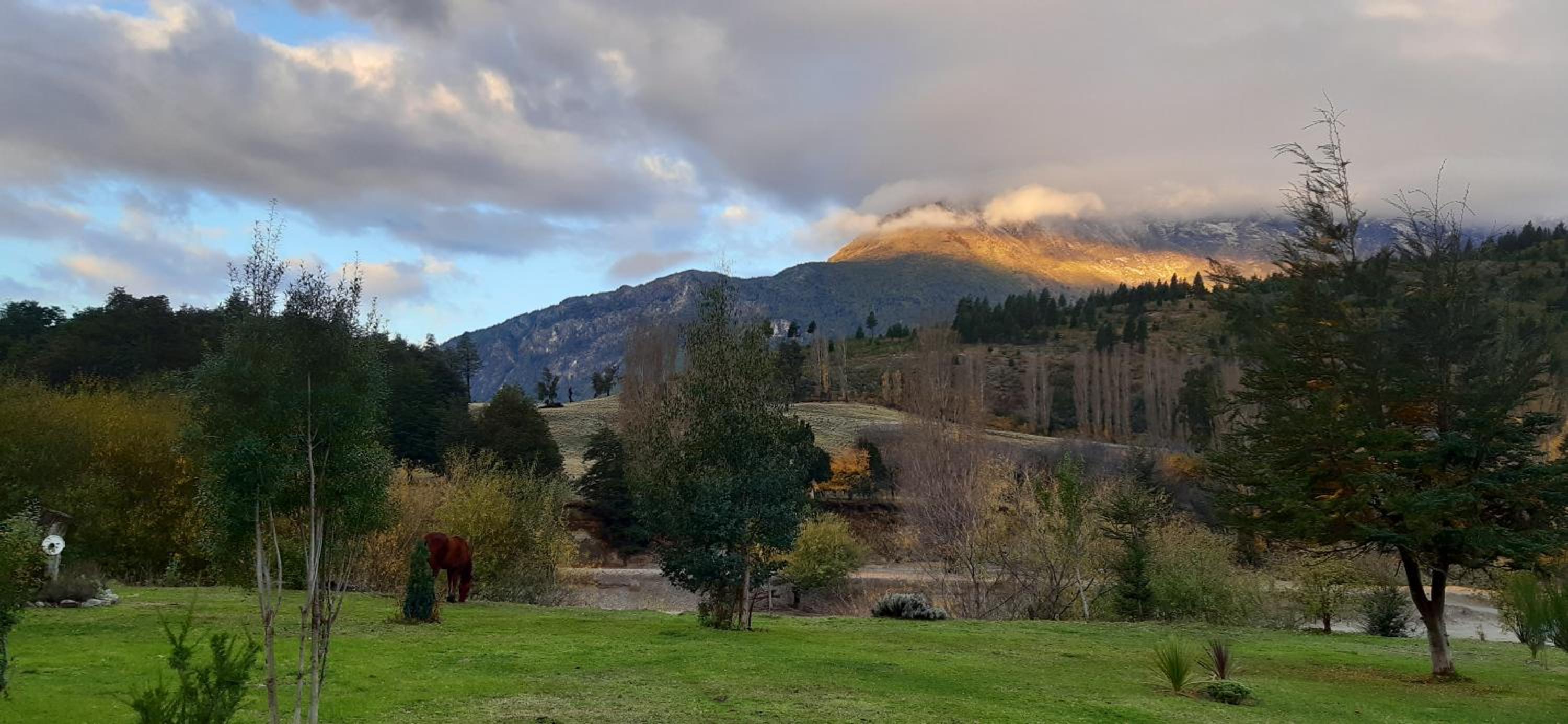 La Maruca