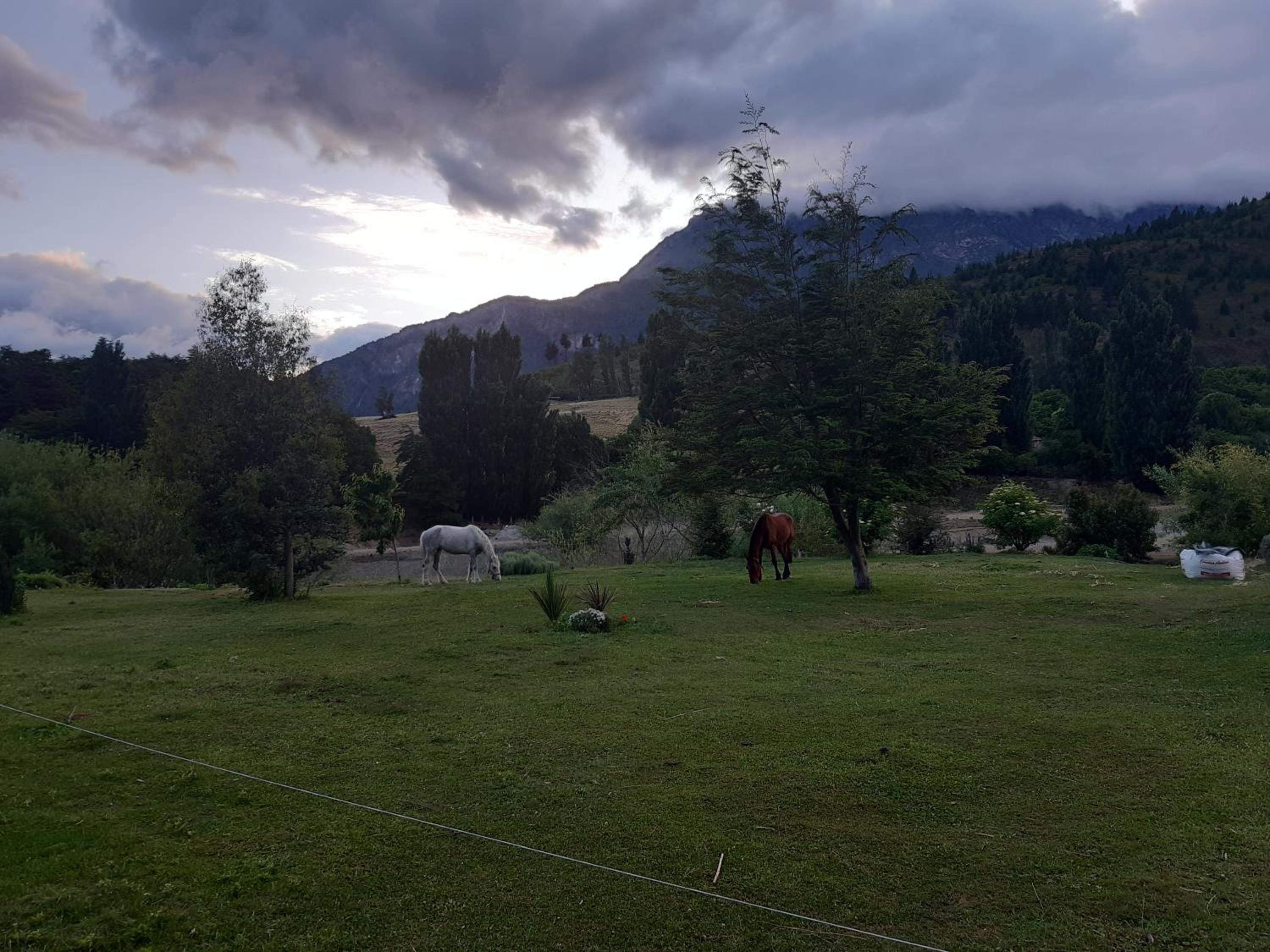 La Maruca