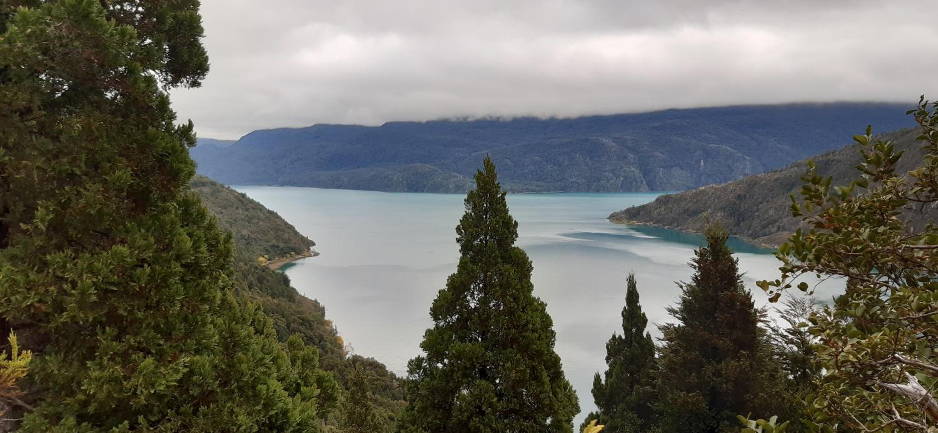 La Maruca