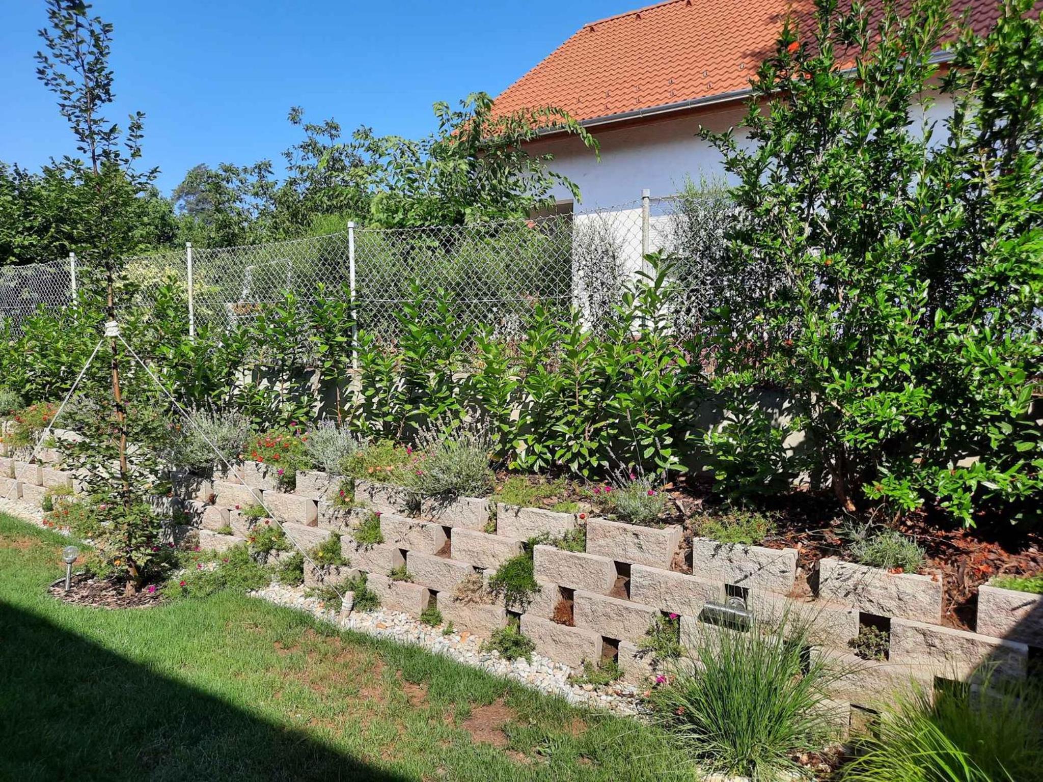 Apartments in Siofok - Balaton 41945 view 3