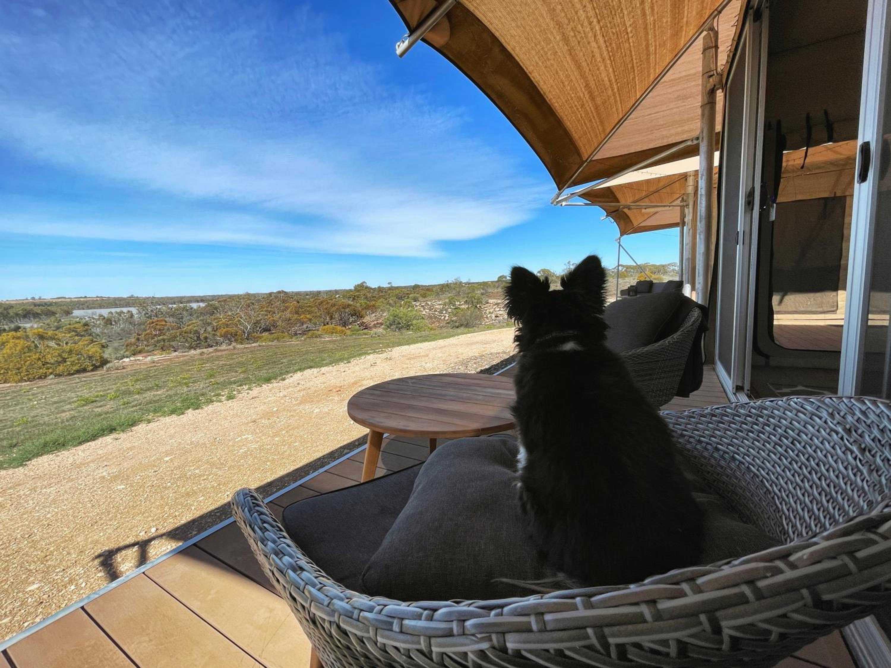 Eco-suites with scenic views & walking trails view 5
