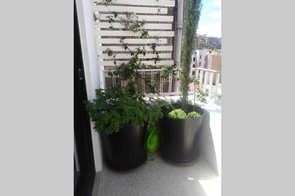 Central Athens Super View Loft