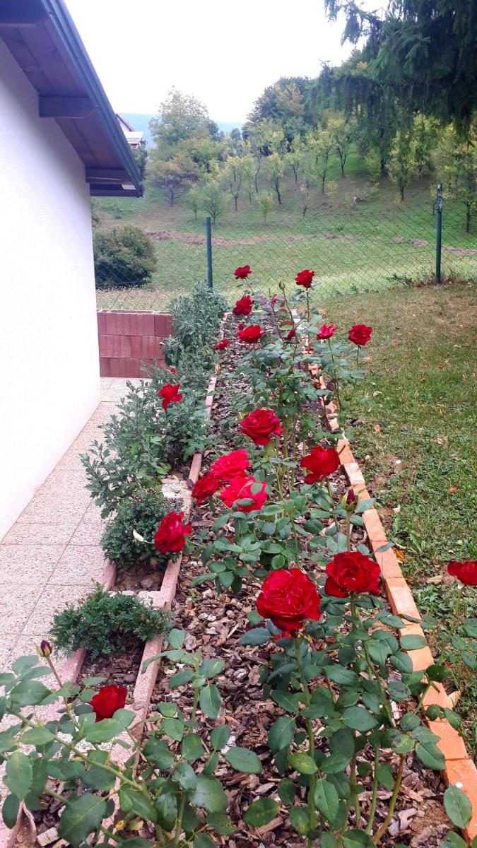 Studio apartman Firdaus-Bihać, Dobrenica bb